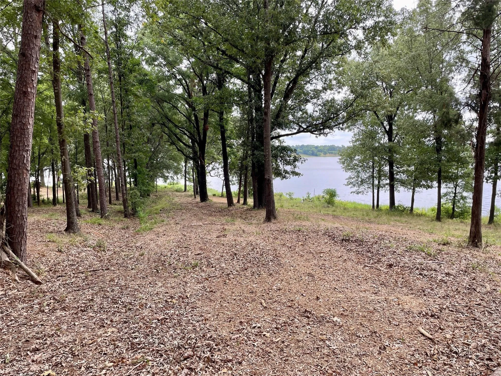 Unimproved Land For Sale in Franklin (TX) County , 101 Sterling Shores Drive, Scroggins, Texas 75480, 0, 0, Garage spaces, 0 Sqft, built in 0, mls#21396557, Real Estate Agent in Scroggins, Homes For Sale in Franklin (TX) county, Homes For Sale in Scroggins, Realtor in Scroggins Texas, Real Estate Brokerage Independent Realty Texas, Luminita Cordes Realtor