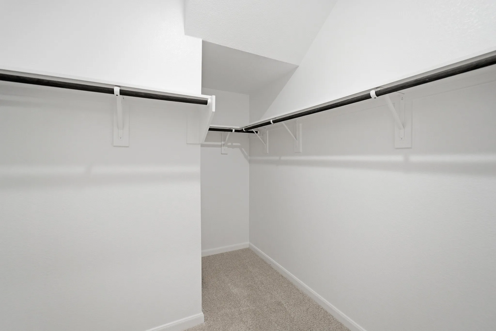 Walk-in closet with carpet flooring, white walls, and multiple garment rods
