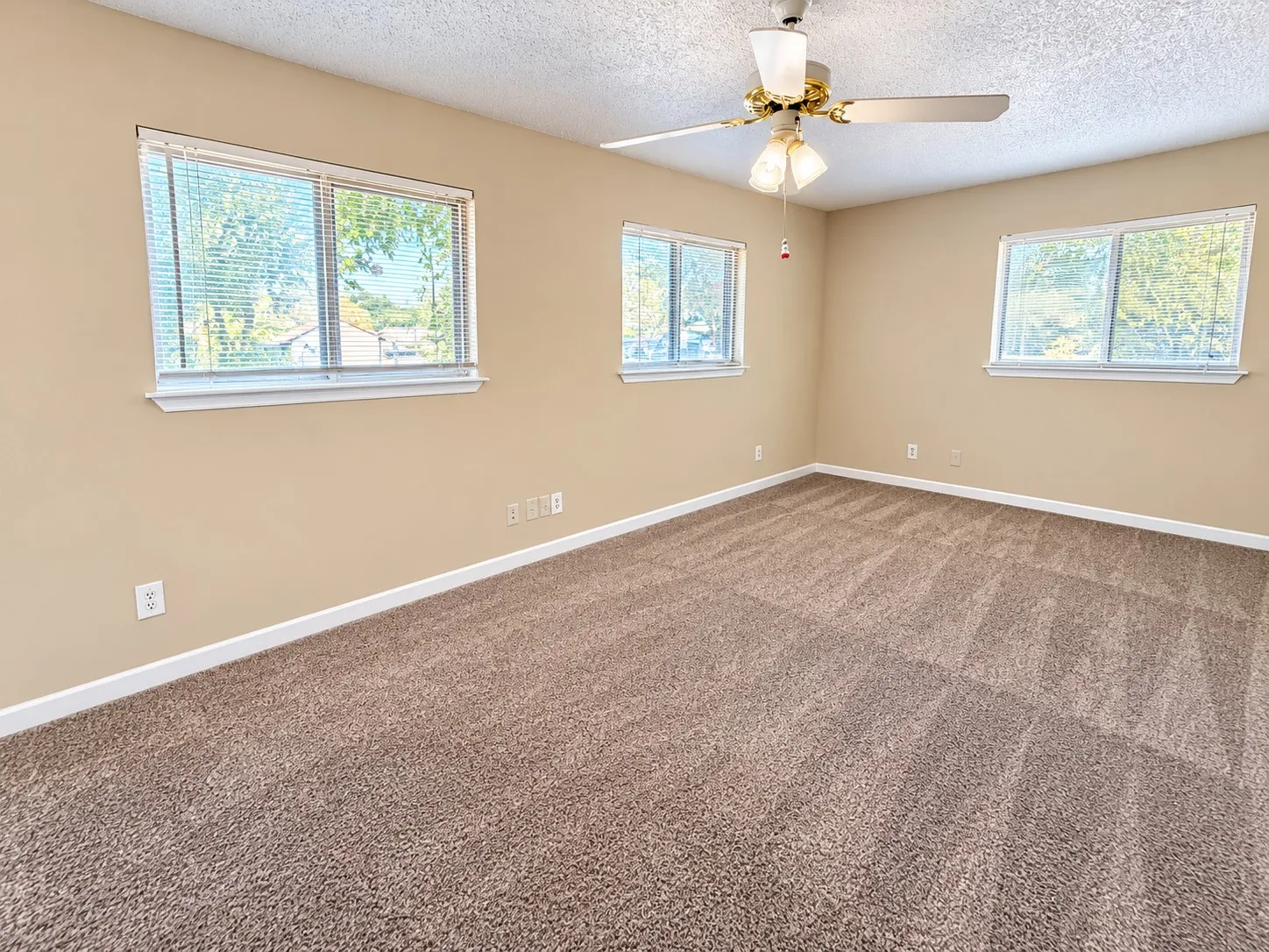 Neutral-toned walls, textured ceiling, brown carpet flooring, and three windows with blinds