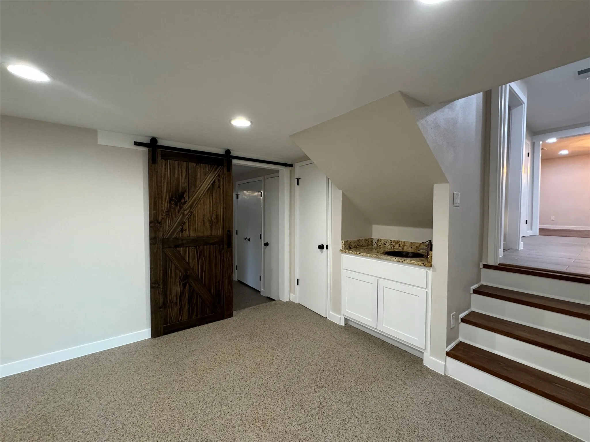 Additional living space featuring a barn door and sink