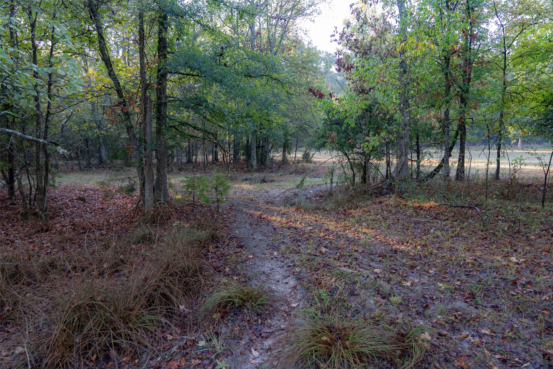 Ranch For Sale in Upshur County , 00 CR 1002 N, Winnsboro, Texas 75494, 0, 0, Garage spaces, 0 Sqft, built in 0, mls#21396591, Real Estate Agent in Winnsboro, Homes For Sale in Upshur county, Homes For Sale in Winnsboro, Realtor in Winnsboro Texas, Real Estate Brokerage Independent Realty Texas, Luminita Cordes Realtor
