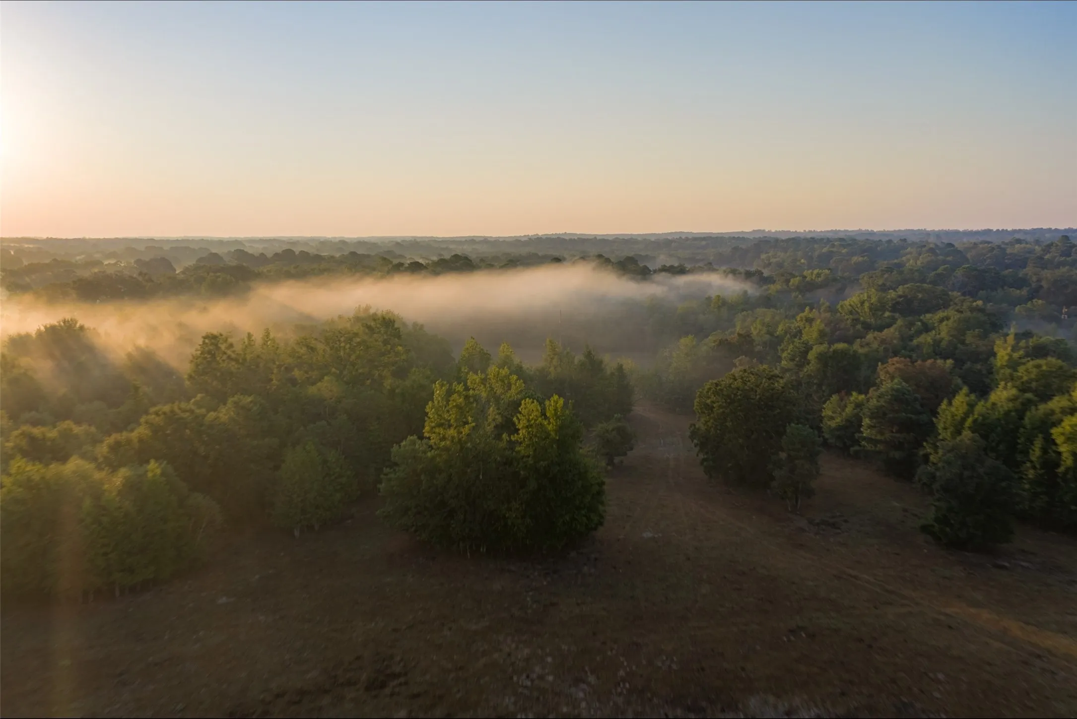 Ranch For Sale in Upshur County , 00 CR 1002 N, Winnsboro, Texas 75494, 0, 0, Garage spaces, 0 Sqft, built in 0, mls#21396591, Real Estate Agent in Winnsboro, Homes For Sale in Upshur county, Homes For Sale in Winnsboro, Realtor in Winnsboro Texas, Real Estate Brokerage Independent Realty Texas, Luminita Cordes Realtor