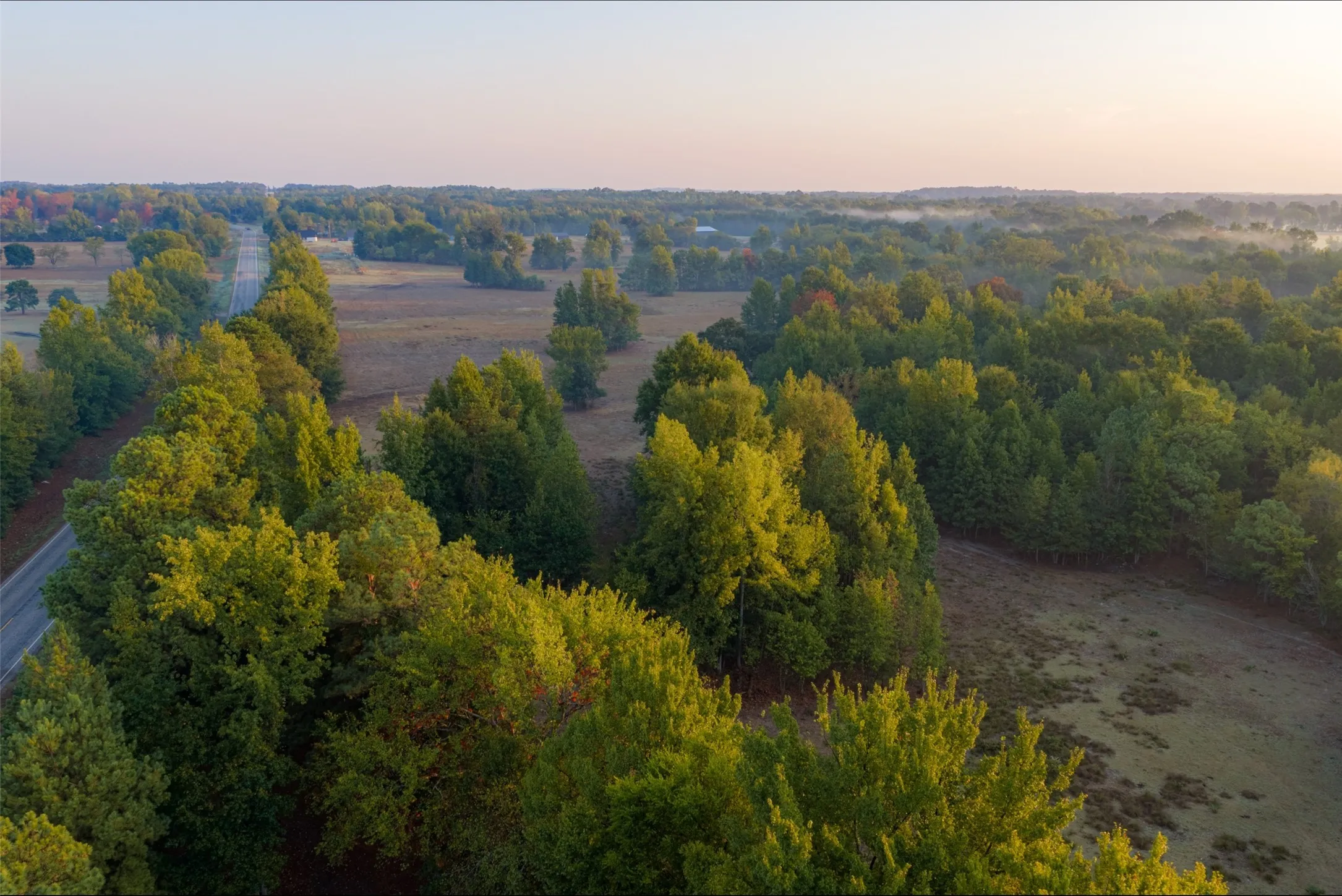Ranch For Sale in Upshur County , 00 CR 1002 N, Winnsboro, Texas 75494, 0, 0, Garage spaces, 0 Sqft, built in 0, mls#21396591, Real Estate Agent in Winnsboro, Homes For Sale in Upshur county, Homes For Sale in Winnsboro, Realtor in Winnsboro Texas, Real Estate Brokerage Independent Realty Texas, Luminita Cordes Realtor
