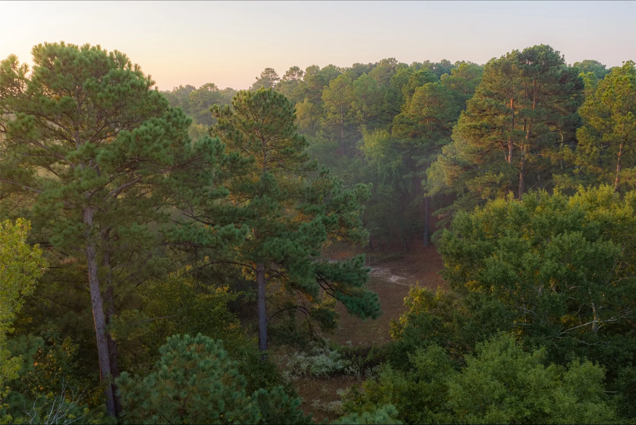 Ranch For Sale in Upshur County , 00 CR 1002 N, Winnsboro, Texas 75494, 0, 0, Garage spaces, 0 Sqft, built in 0, mls#21396591, Real Estate Agent in Winnsboro, Homes For Sale in Upshur county, Homes For Sale in Winnsboro, Realtor in Winnsboro Texas, Real Estate Brokerage Independent Realty Texas, Luminita Cordes Realtor