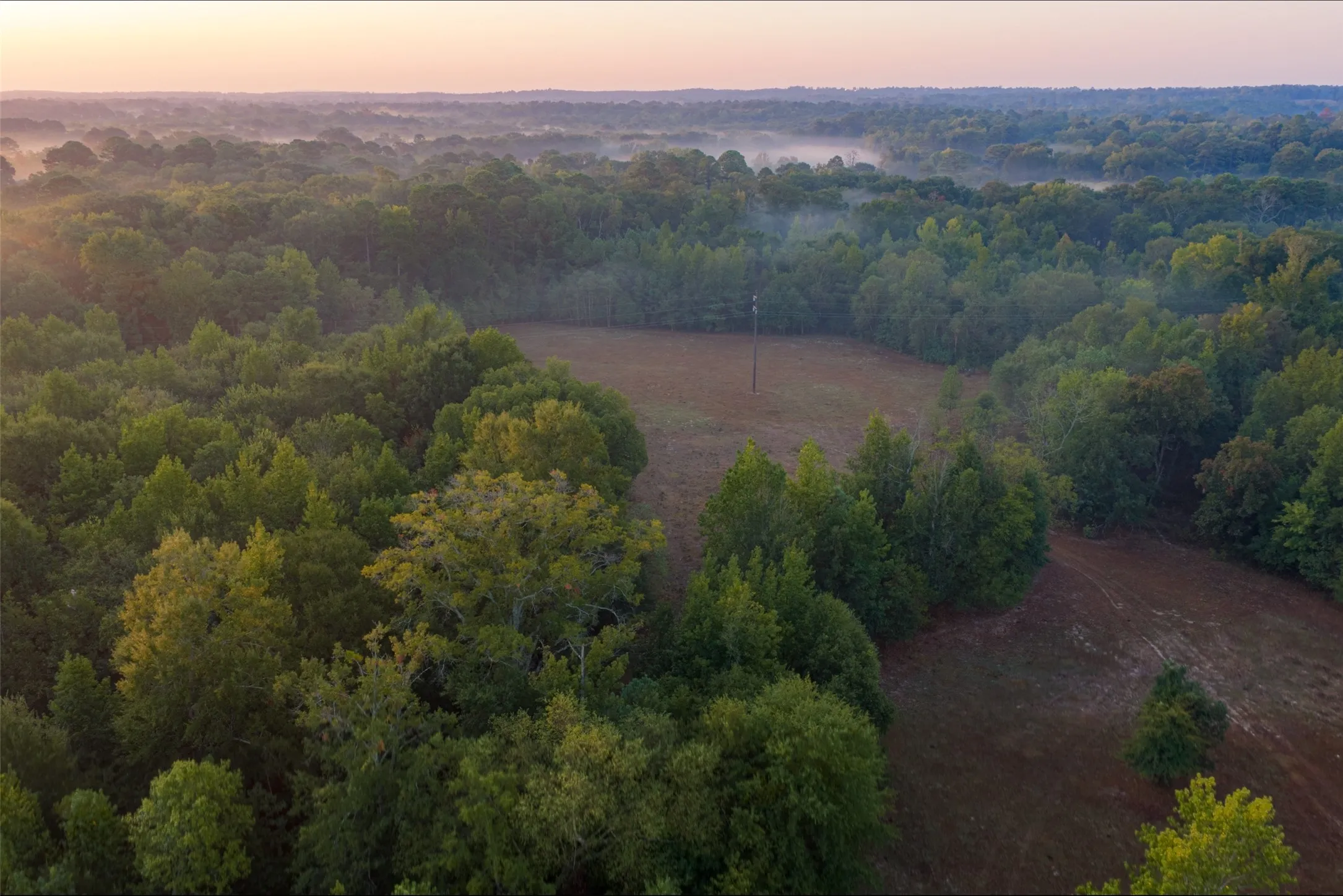 Ranch For Sale in Upshur County , 00 CR 1002 N, Winnsboro, Texas 75494, 0, 0, Garage spaces, 0 Sqft, built in 0, mls#21396591, Real Estate Agent in Winnsboro, Homes For Sale in Upshur county, Homes For Sale in Winnsboro, Realtor in Winnsboro Texas, Real Estate Brokerage Independent Realty Texas, Luminita Cordes Realtor