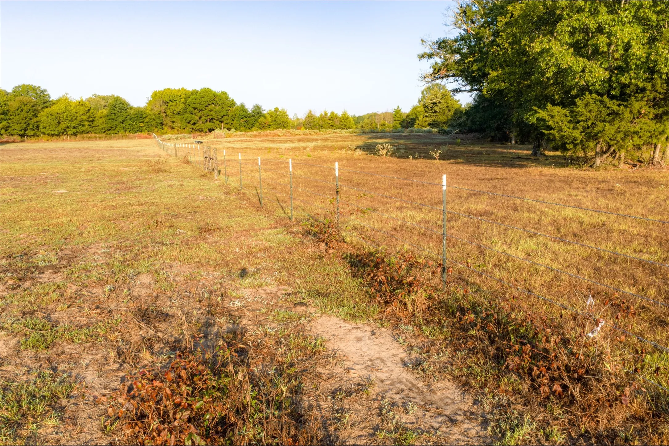 Ranch For Sale in Upshur County , 00 CR 1002 N, Winnsboro, Texas 75494, 0, 0, Garage spaces, 0 Sqft, built in 0, mls#21396591, Real Estate Agent in Winnsboro, Homes For Sale in Upshur county, Homes For Sale in Winnsboro, Realtor in Winnsboro Texas, Real Estate Brokerage Independent Realty Texas, Luminita Cordes Realtor