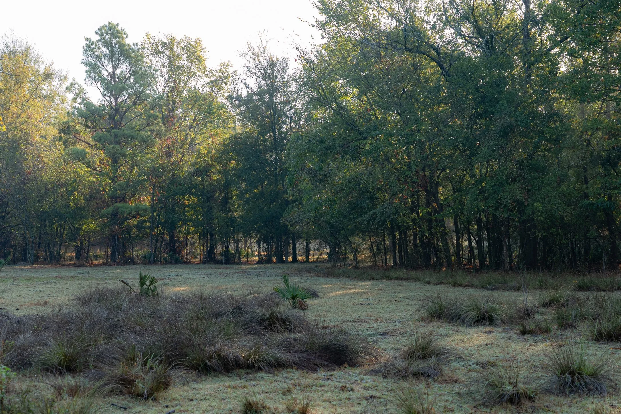 Ranch For Sale in Upshur County , 00 CR 1002 N, Winnsboro, Texas 75494, 0, 0, Garage spaces, 0 Sqft, built in 0, mls#21396591, Real Estate Agent in Winnsboro, Homes For Sale in Upshur county, Homes For Sale in Winnsboro, Realtor in Winnsboro Texas, Real Estate Brokerage Independent Realty Texas, Luminita Cordes Realtor