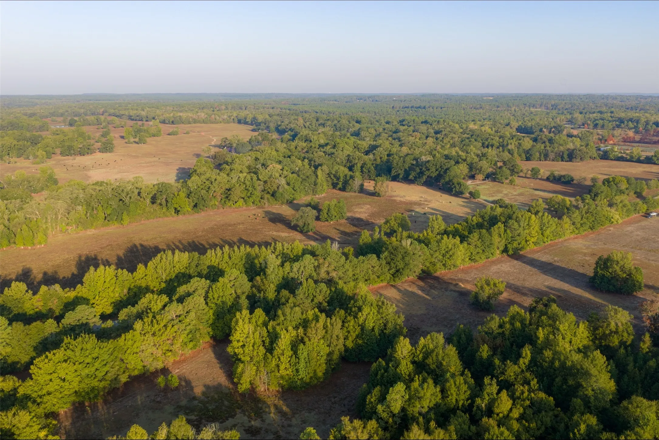 Ranch For Sale in Upshur County , 00 CR 1002 N, Winnsboro, Texas 75494, 0, 0, Garage spaces, 0 Sqft, built in 0, mls#21396591, Real Estate Agent in Winnsboro, Homes For Sale in Upshur county, Homes For Sale in Winnsboro, Realtor in Winnsboro Texas, Real Estate Brokerage Independent Realty Texas, Luminita Cordes Realtor