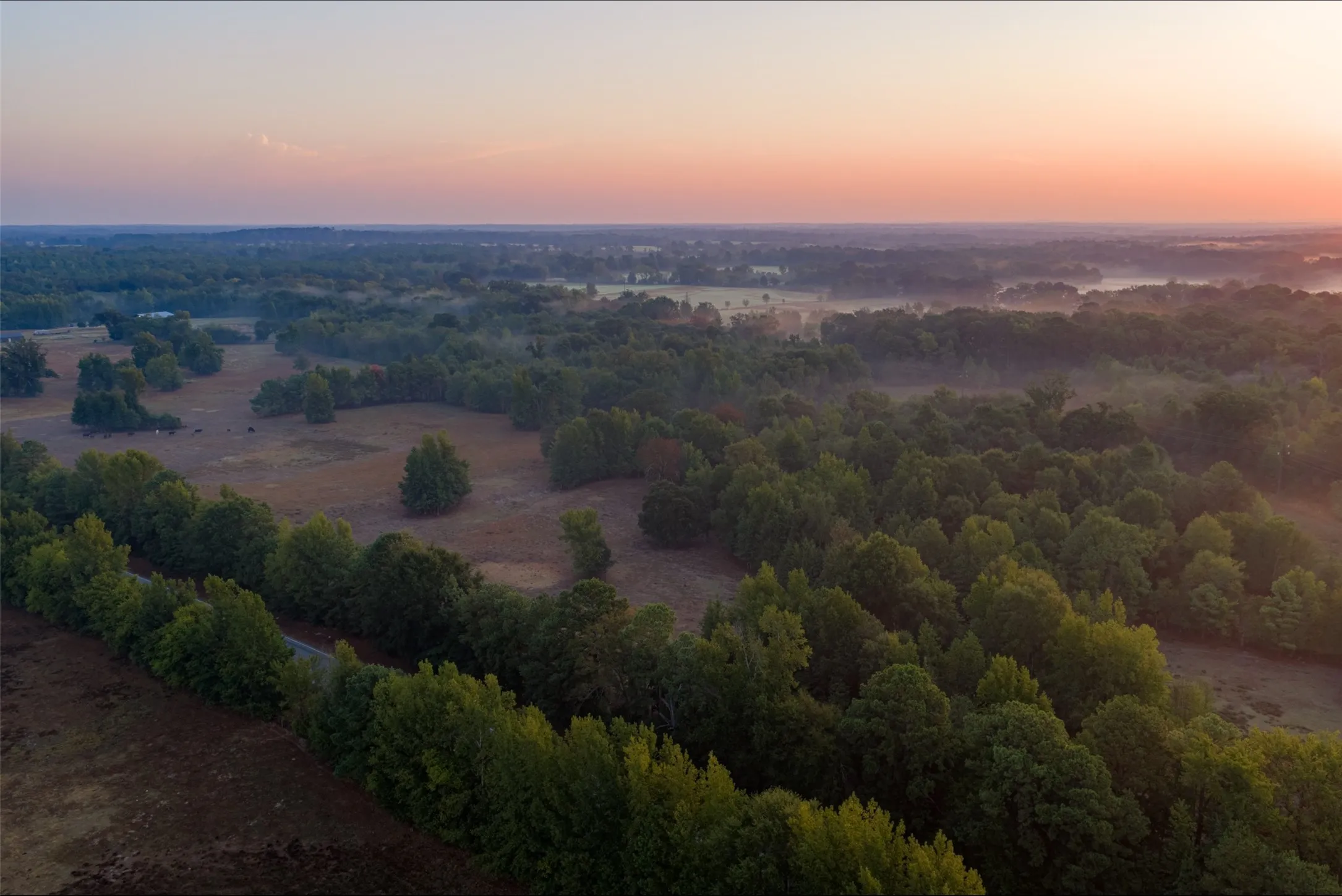 Ranch For Sale in Upshur County , 00 CR 1002 N, Winnsboro, Texas 75494, 0, 0, Garage spaces, 0 Sqft, built in 0, mls#21396591, Real Estate Agent in Winnsboro, Homes For Sale in Upshur county, Homes For Sale in Winnsboro, Realtor in Winnsboro Texas, Real Estate Brokerage Independent Realty Texas, Luminita Cordes Realtor