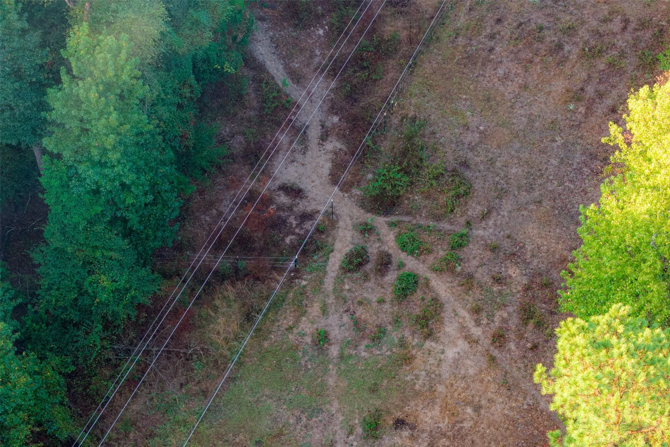Ranch For Sale in Upshur County , 00 CR 1002 N, Winnsboro, Texas 75494, 0, 0, Garage spaces, 0 Sqft, built in 0, mls#21396591, Real Estate Agent in Winnsboro, Homes For Sale in Upshur county, Homes For Sale in Winnsboro, Realtor in Winnsboro Texas, Real Estate Brokerage Independent Realty Texas, Luminita Cordes Realtor