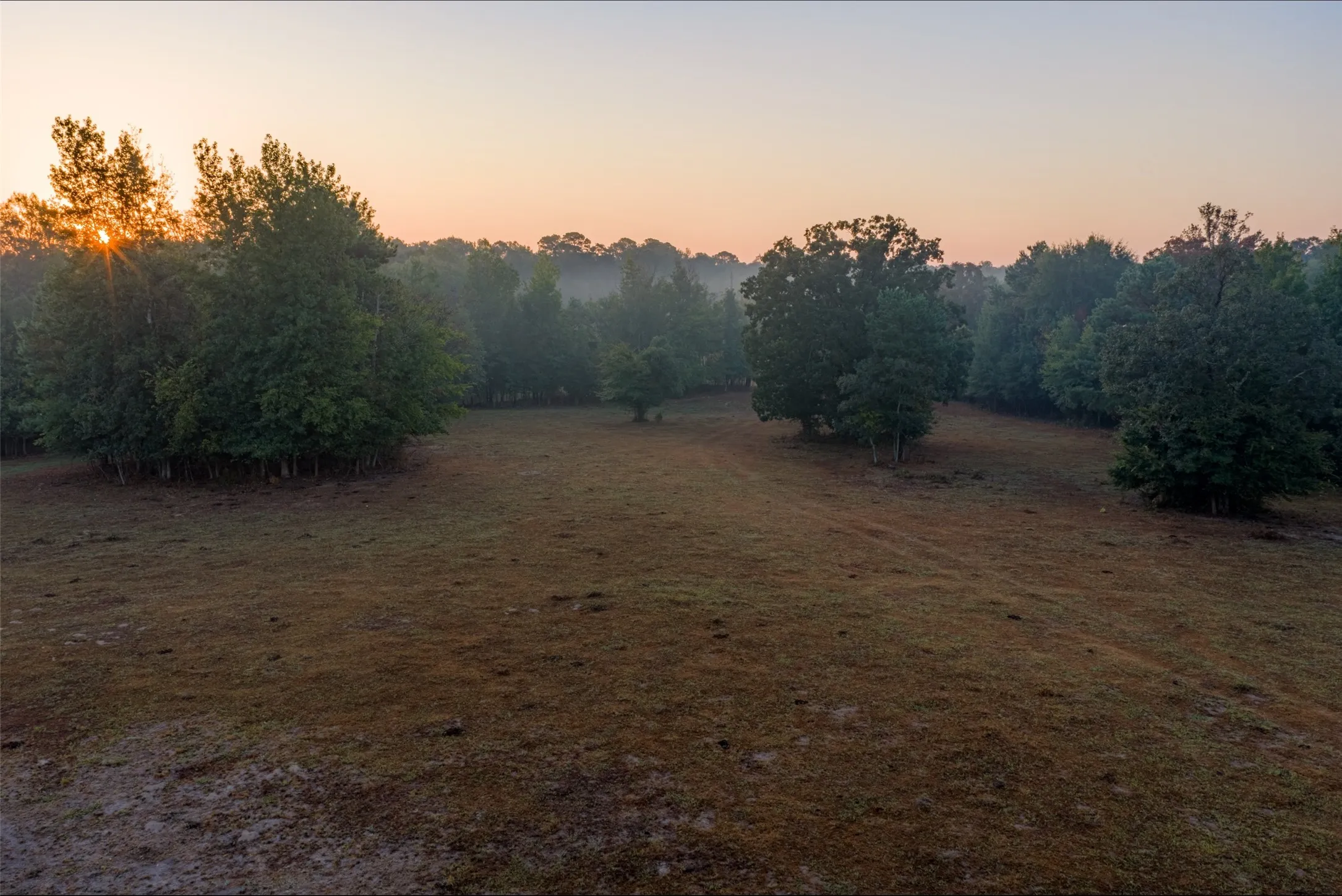 Ranch For Sale in Upshur County , 00 CR 1002 N, Winnsboro, Texas 75494, 0, 0, Garage spaces, 0 Sqft, built in 0, mls#21396591, Real Estate Agent in Winnsboro, Homes For Sale in Upshur county, Homes For Sale in Winnsboro, Realtor in Winnsboro Texas, Real Estate Brokerage Independent Realty Texas, Luminita Cordes Realtor
