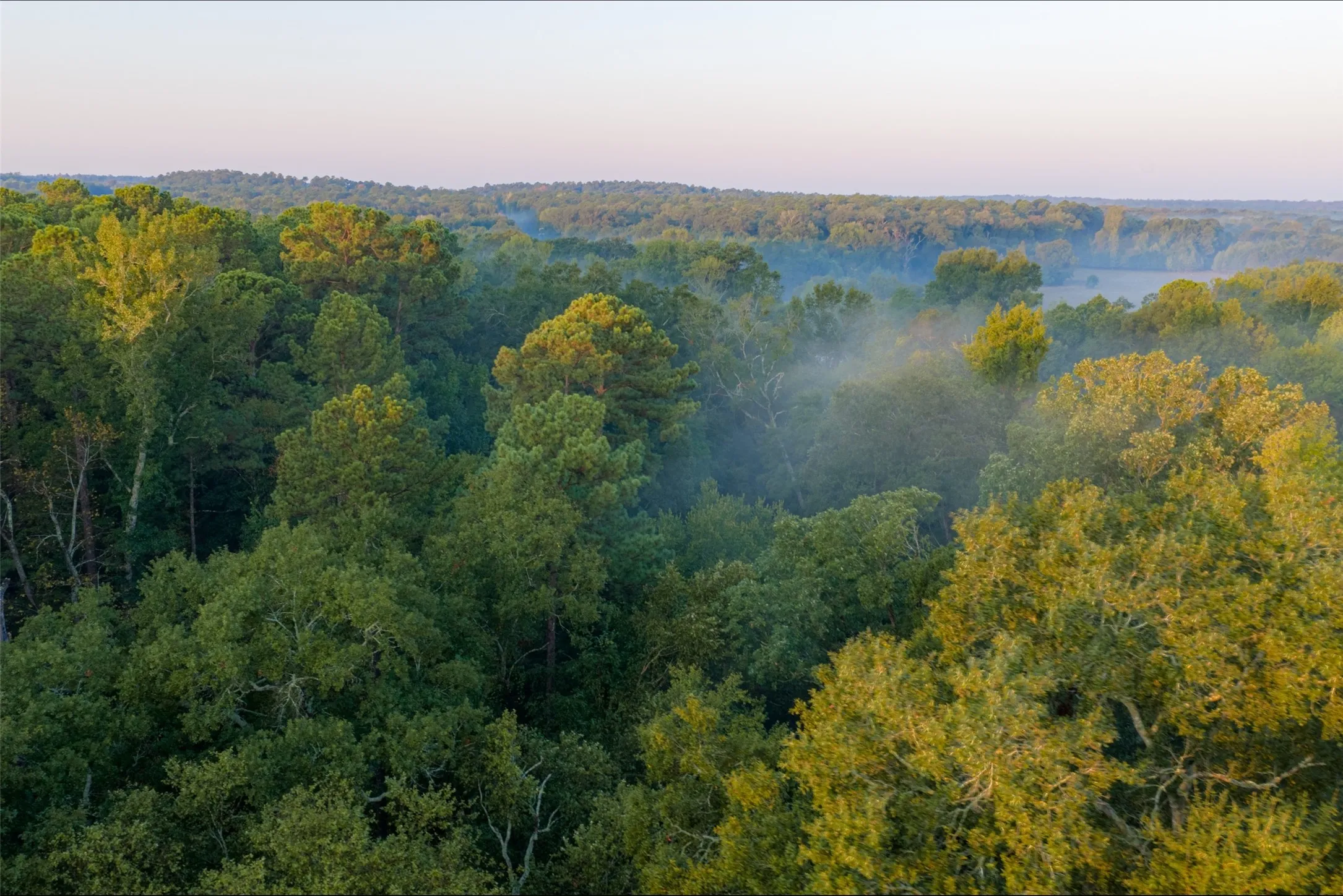 Ranch For Sale in Upshur County , 00 CR 1002 N, Winnsboro, Texas 75494, 0, 0, Garage spaces, 0 Sqft, built in 0, mls#21396591, Real Estate Agent in Winnsboro, Homes For Sale in Upshur county, Homes For Sale in Winnsboro, Realtor in Winnsboro Texas, Real Estate Brokerage Independent Realty Texas, Luminita Cordes Realtor