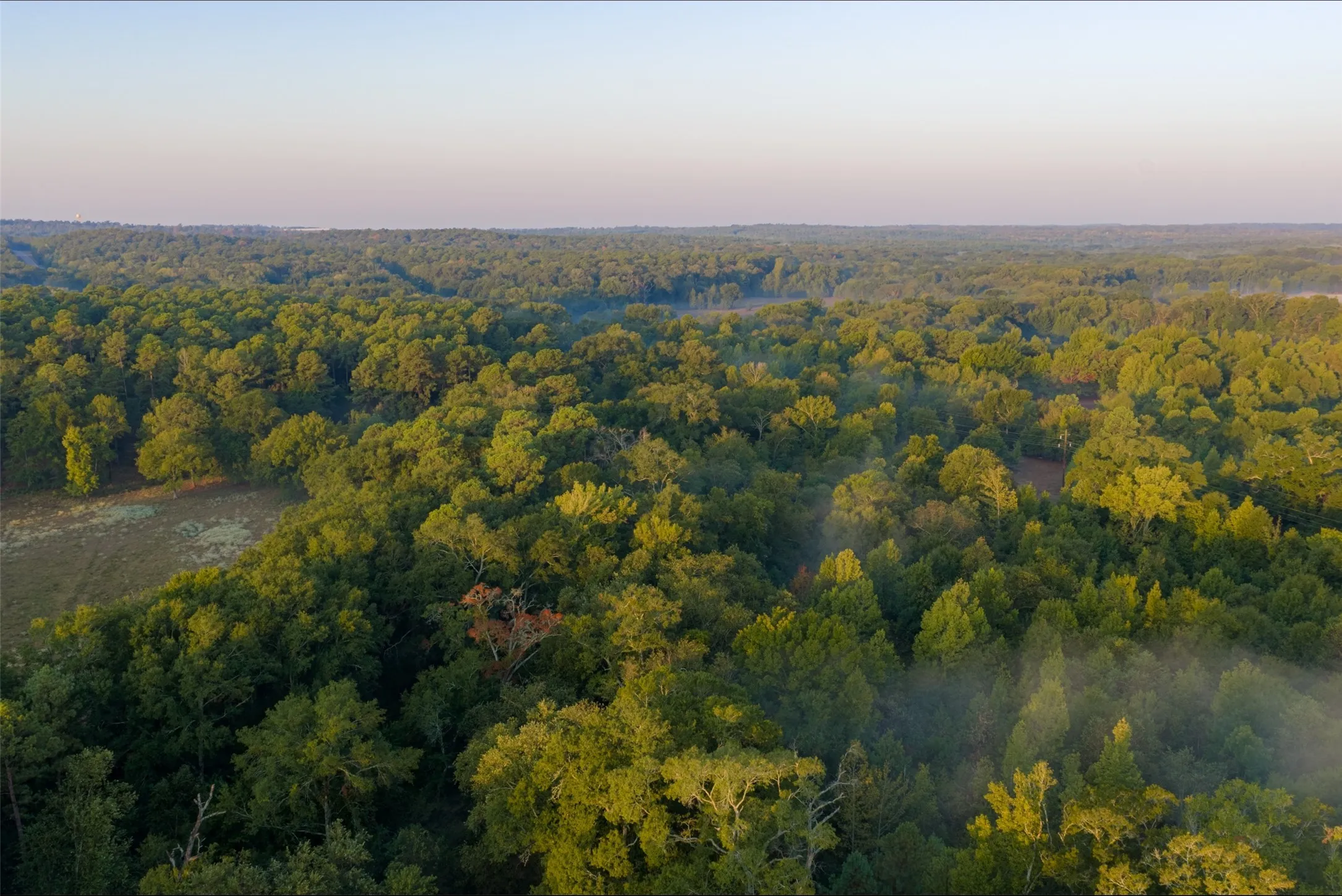 Ranch For Sale in Upshur County , 00 CR 1002 N, Winnsboro, Texas 75494, 0, 0, Garage spaces, 0 Sqft, built in 0, mls#21396591, Real Estate Agent in Winnsboro, Homes For Sale in Upshur county, Homes For Sale in Winnsboro, Realtor in Winnsboro Texas, Real Estate Brokerage Independent Realty Texas, Luminita Cordes Realtor
