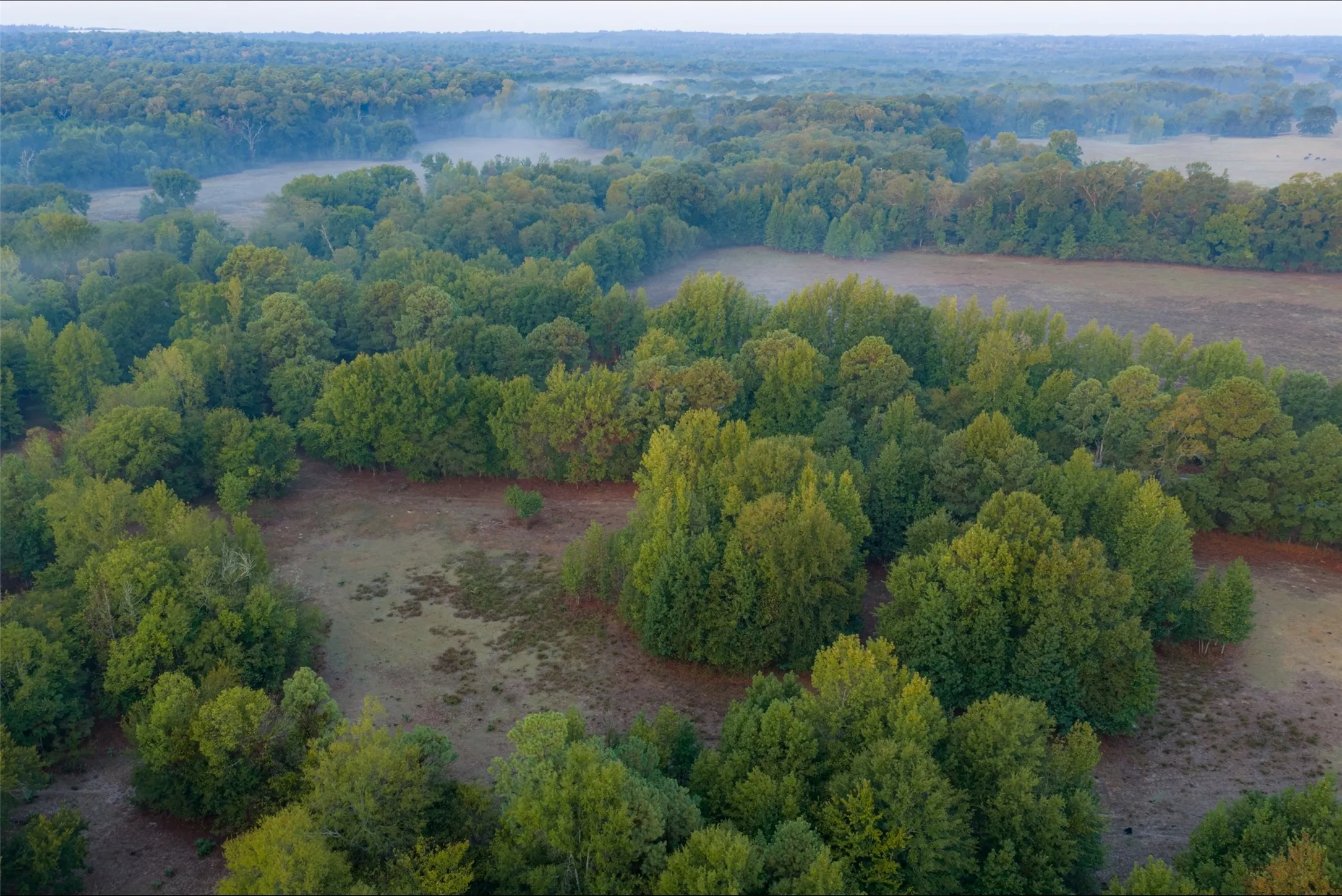 Ranch For Sale in Upshur County , 00 CR 1002 N, Winnsboro, Texas 75494, 0, 0, Garage spaces, 0 Sqft, built in 0, mls#21396591, Real Estate Agent in Winnsboro, Homes For Sale in Upshur county, Homes For Sale in Winnsboro, Realtor in Winnsboro Texas, Real Estate Brokerage Independent Realty Texas, Luminita Cordes Realtor