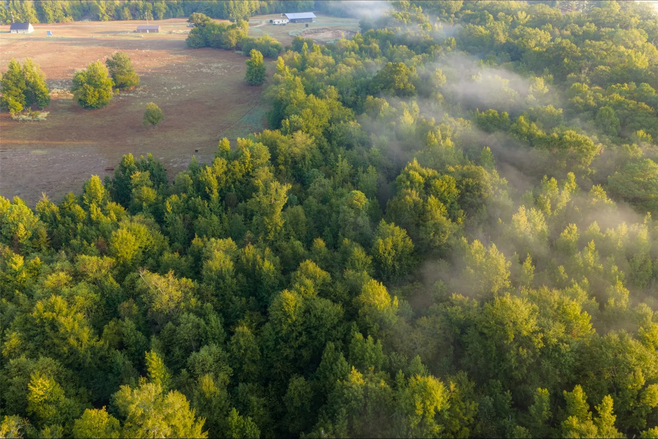 Ranch For Sale in Upshur County , 00 CR 1002 N, Winnsboro, Texas 75494, 0, 0, Garage spaces, 0 Sqft, built in 0, mls#21396591, Real Estate Agent in Winnsboro, Homes For Sale in Upshur county, Homes For Sale in Winnsboro, Realtor in Winnsboro Texas, Real Estate Brokerage Independent Realty Texas, Luminita Cordes Realtor