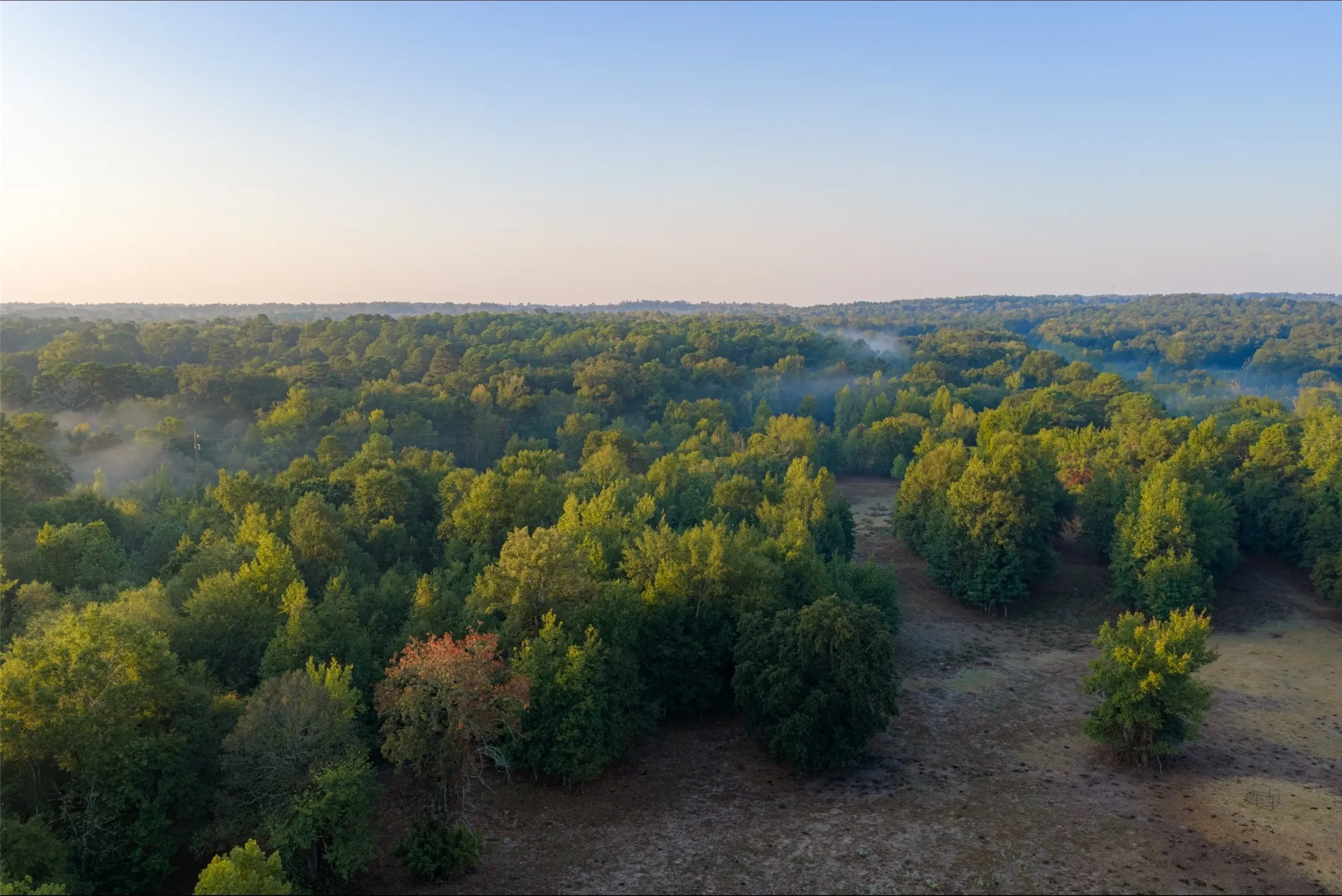 Ranch For Sale in Upshur County , 00 CR 1002 N, Winnsboro, Texas 75494, 0, 0, Garage spaces, 0 Sqft, built in 0, mls#21396591, Real Estate Agent in Winnsboro, Homes For Sale in Upshur county, Homes For Sale in Winnsboro, Realtor in Winnsboro Texas, Real Estate Brokerage Independent Realty Texas, Luminita Cordes Realtor