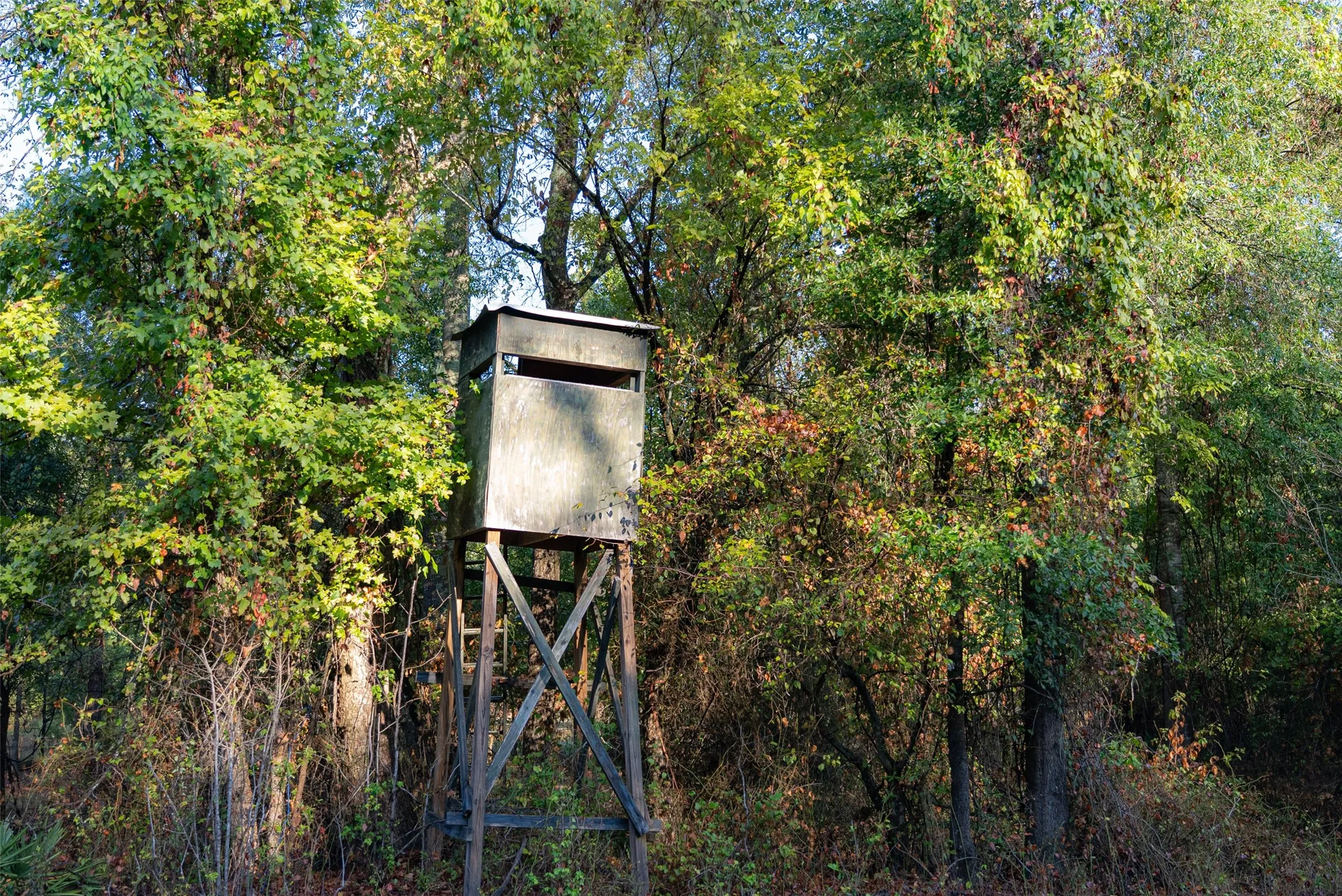 Ranch For Sale in Upshur County , 00 CR 1002 N, Winnsboro, Texas 75494, 0, 0, Garage spaces, 0 Sqft, built in 0, mls#21396591, Real Estate Agent in Winnsboro, Homes For Sale in Upshur county, Homes For Sale in Winnsboro, Realtor in Winnsboro Texas, Real Estate Brokerage Independent Realty Texas, Luminita Cordes Realtor