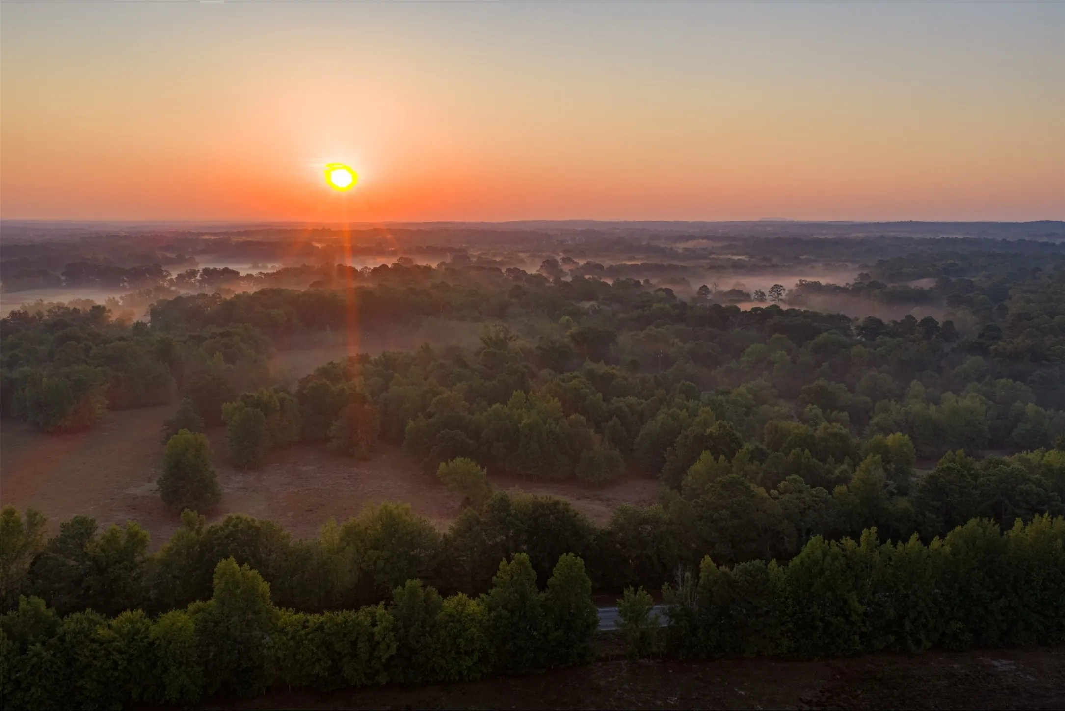 Ranch For Sale in Upshur County , 00 CR 1002 N, Winnsboro, Texas 75494, 0, 0, Garage spaces, 0 Sqft, built in 0, mls#21396591, Real Estate Agent in Winnsboro, Homes For Sale in Upshur county, Homes For Sale in Winnsboro, Realtor in Winnsboro Texas, Real Estate Brokerage Independent Realty Texas, Luminita Cordes Realtor