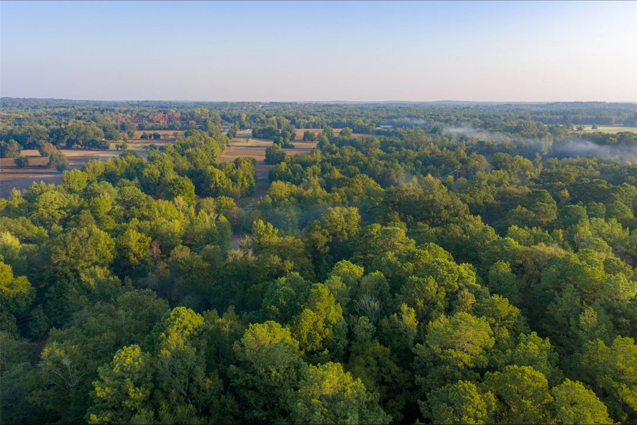 Ranch For Sale in Upshur County , 00 CR 1002 N, Winnsboro, Texas 75494, 0, 0, Garage spaces, 0 Sqft, built in 0, mls#21396591, Real Estate Agent in Winnsboro, Homes For Sale in Upshur county, Homes For Sale in Winnsboro, Realtor in Winnsboro Texas, Real Estate Brokerage Independent Realty Texas, Luminita Cordes Realtor