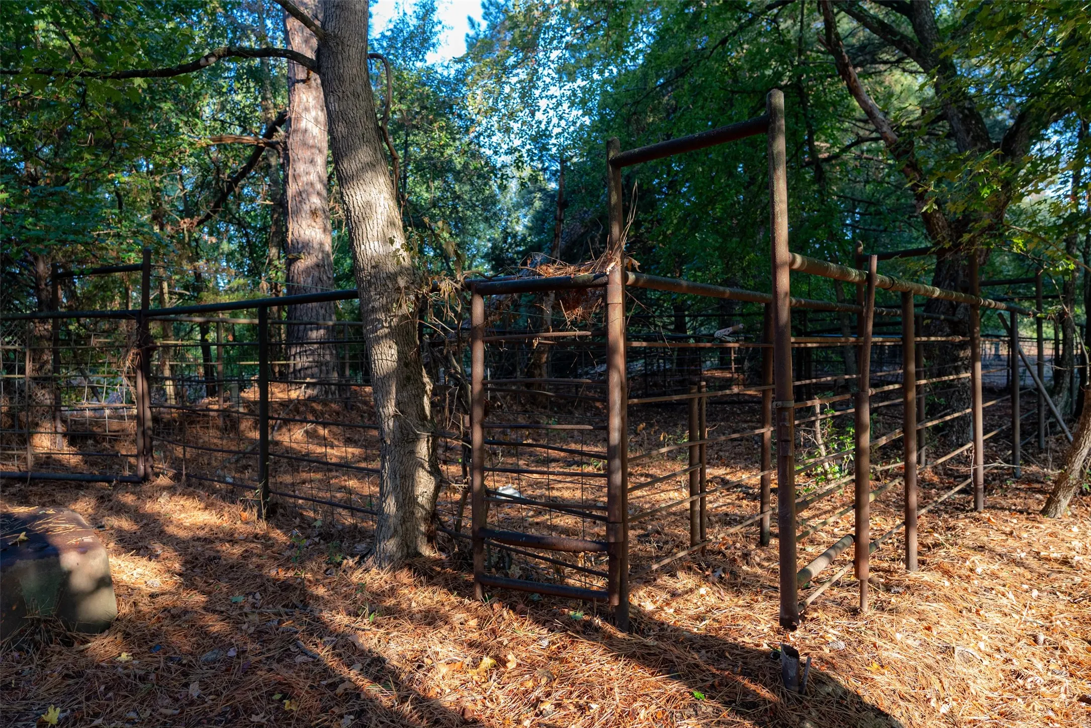Ranch For Sale in Upshur County , 00 CR 1002 N, Winnsboro, Texas 75494, 0, 0, Garage spaces, 0 Sqft, built in 0, mls#21396591, Real Estate Agent in Winnsboro, Homes For Sale in Upshur county, Homes For Sale in Winnsboro, Realtor in Winnsboro Texas, Real Estate Brokerage Independent Realty Texas, Luminita Cordes Realtor
