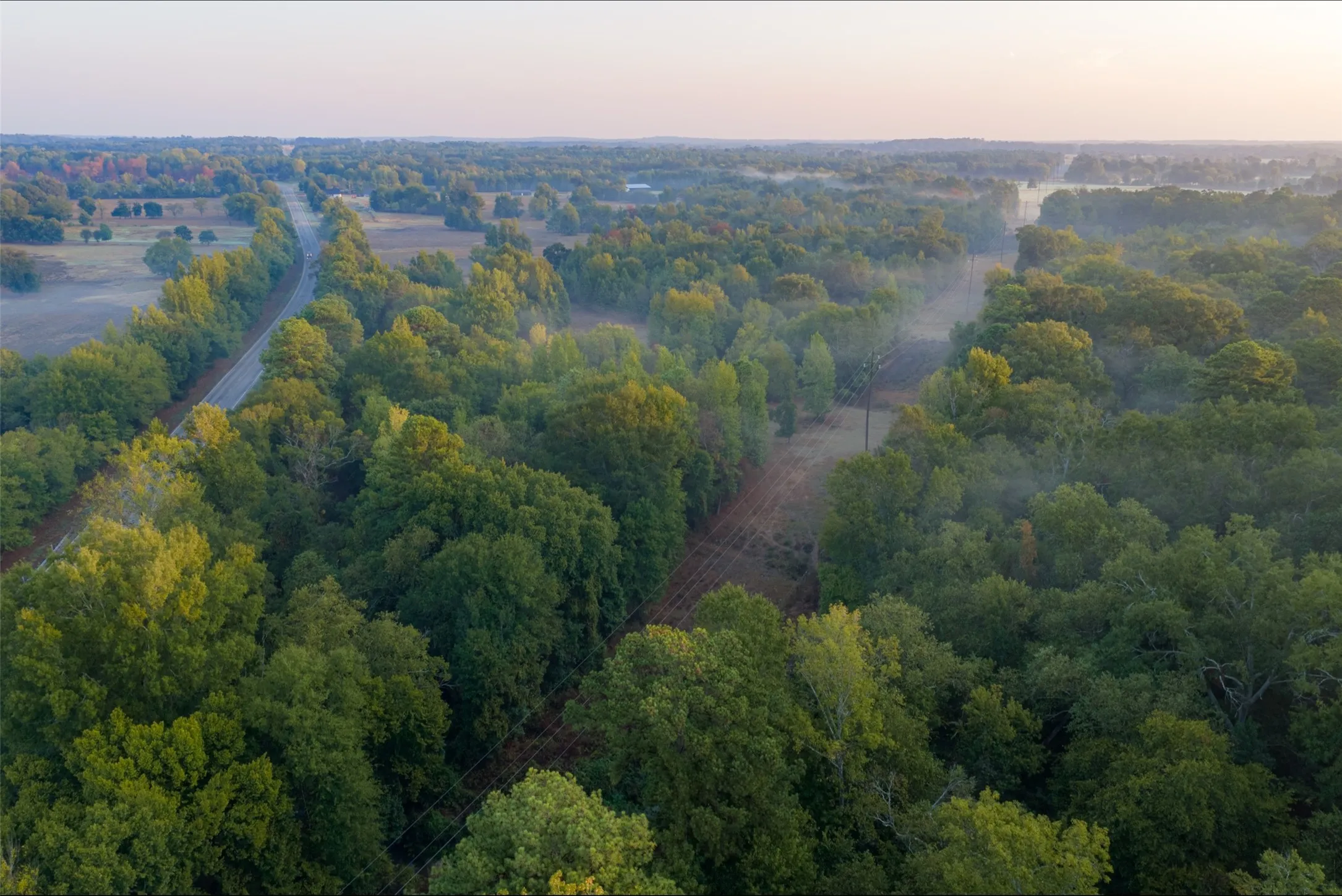 Ranch For Sale in Upshur County , 00 CR 1002 N, Winnsboro, Texas 75494, 0, 0, Garage spaces, 0 Sqft, built in 0, mls#21396591, Real Estate Agent in Winnsboro, Homes For Sale in Upshur county, Homes For Sale in Winnsboro, Realtor in Winnsboro Texas, Real Estate Brokerage Independent Realty Texas, Luminita Cordes Realtor