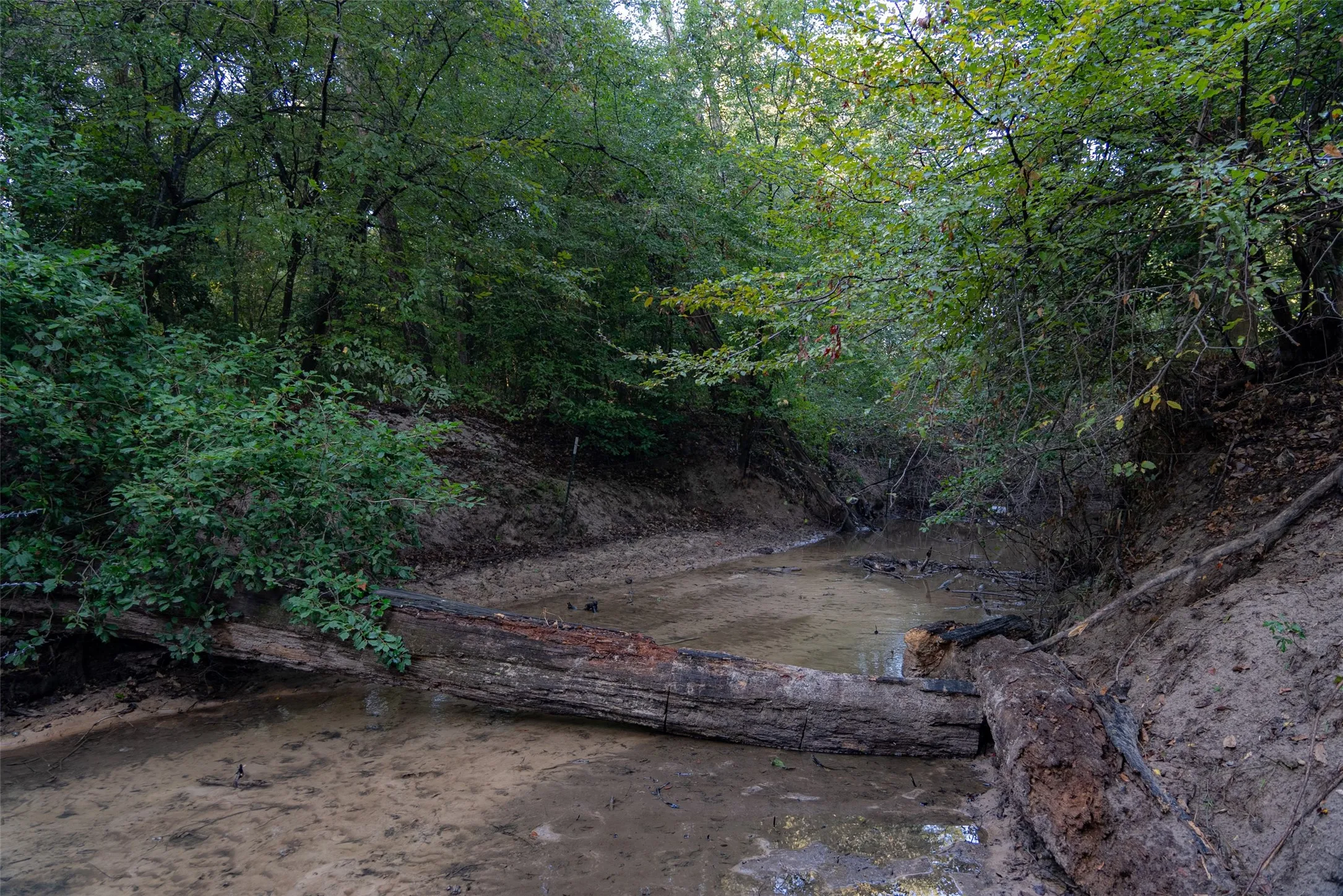 Ranch For Sale in Upshur County , 00 CR 1002 N, Winnsboro, Texas 75494, 0, 0, Garage spaces, 0 Sqft, built in 0, mls#21396591, Real Estate Agent in Winnsboro, Homes For Sale in Upshur county, Homes For Sale in Winnsboro, Realtor in Winnsboro Texas, Real Estate Brokerage Independent Realty Texas, Luminita Cordes Realtor