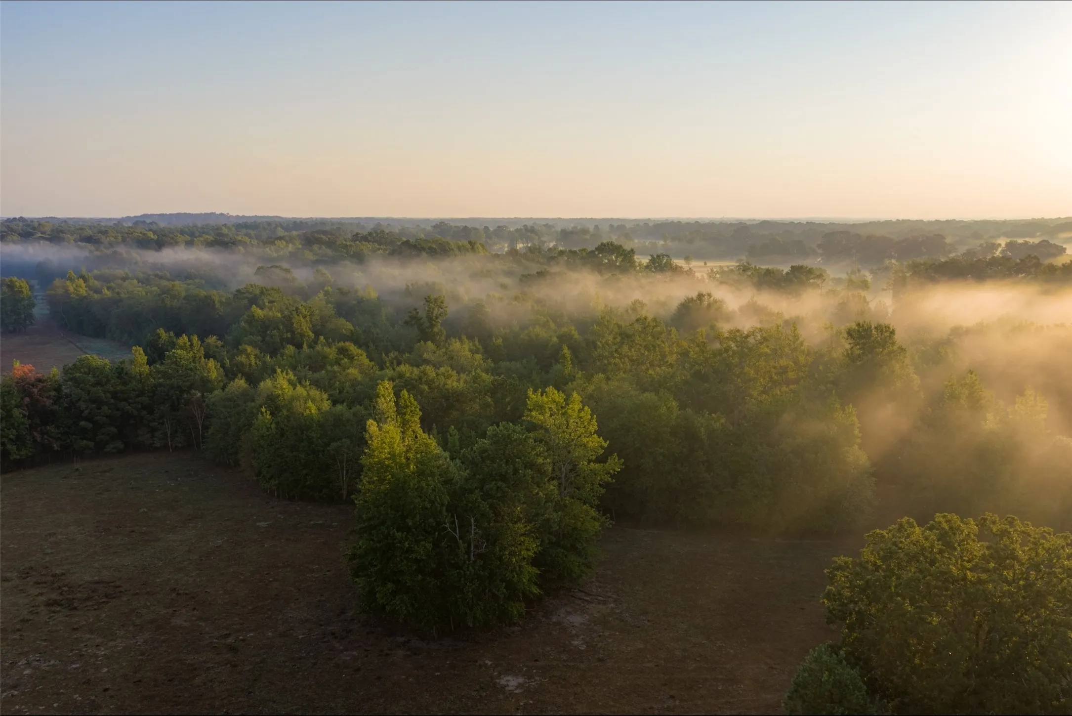 Ranch For Sale in Upshur County , 00 CR 1002 N, Winnsboro, Texas 75494, 0, 0, Garage spaces, 0 Sqft, built in 0, mls#21396591, Real Estate Agent in Winnsboro, Homes For Sale in Upshur county, Homes For Sale in Winnsboro, Realtor in Winnsboro Texas, Real Estate Brokerage Independent Realty Texas, Luminita Cordes Realtor