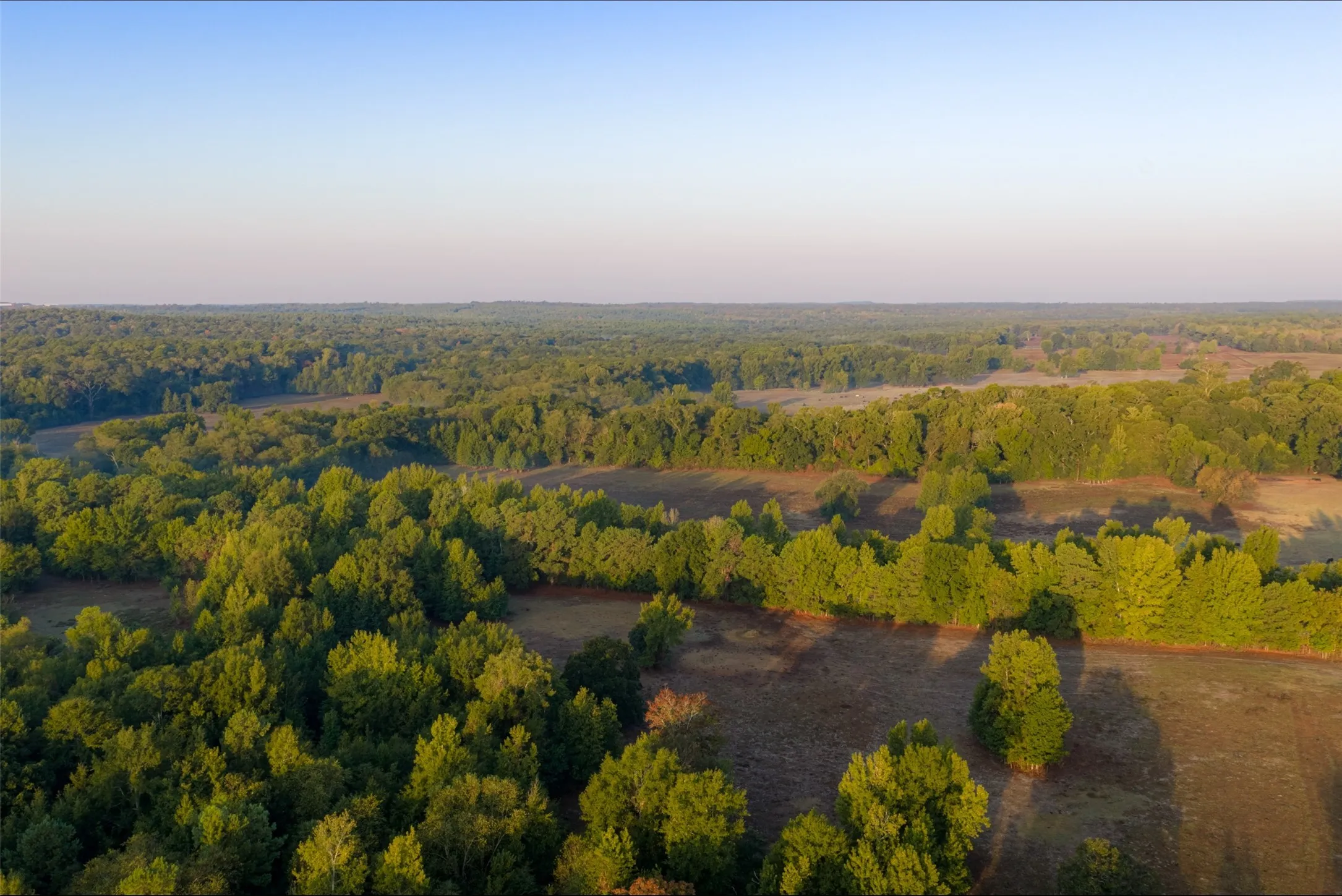 Ranch For Sale in Upshur County , 00 CR 1002 N, Winnsboro, Texas 75494, 0, 0, Garage spaces, 0 Sqft, built in 0, mls#21396591, Real Estate Agent in Winnsboro, Homes For Sale in Upshur county, Homes For Sale in Winnsboro, Realtor in Winnsboro Texas, Real Estate Brokerage Independent Realty Texas, Luminita Cordes Realtor