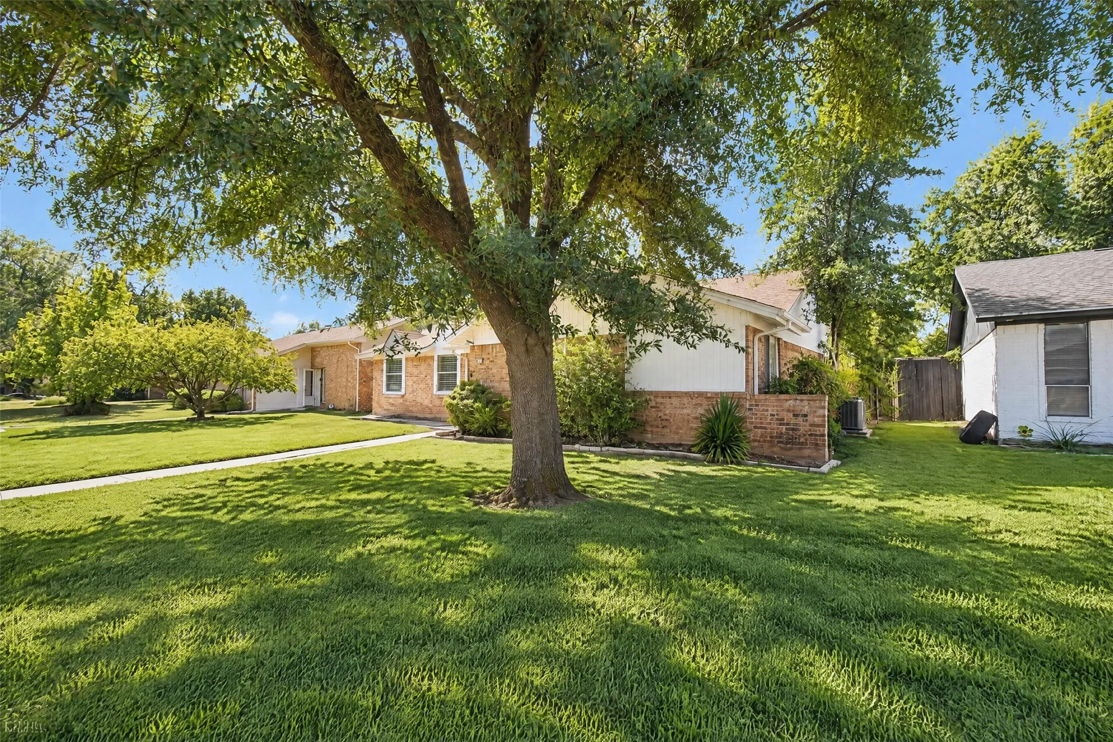 Expansive front yard with a mature shade tree, manicured lawn, and concrete pathway