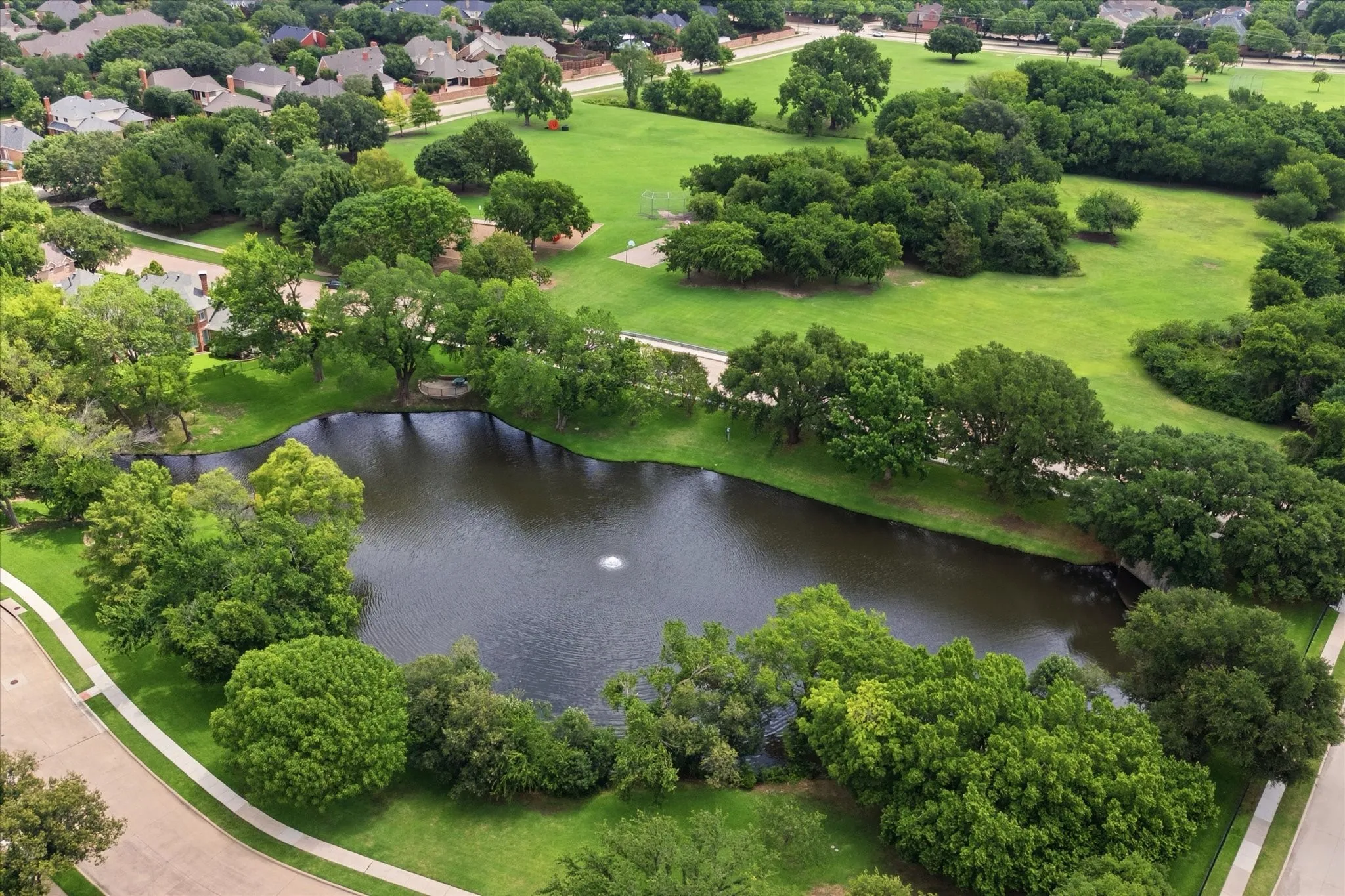 Neighborhood lake.