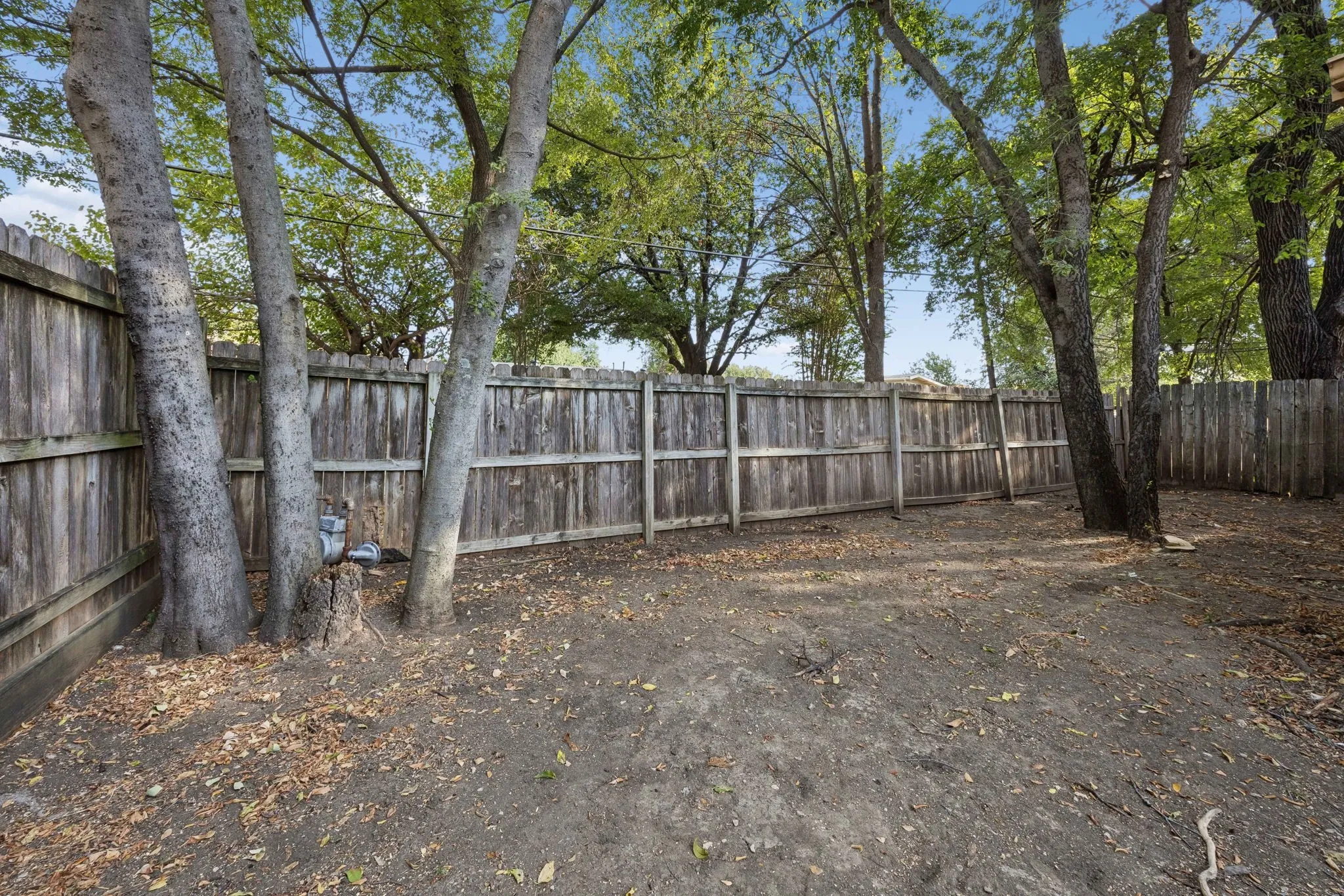Private backyard space with wood fencing and mature trees