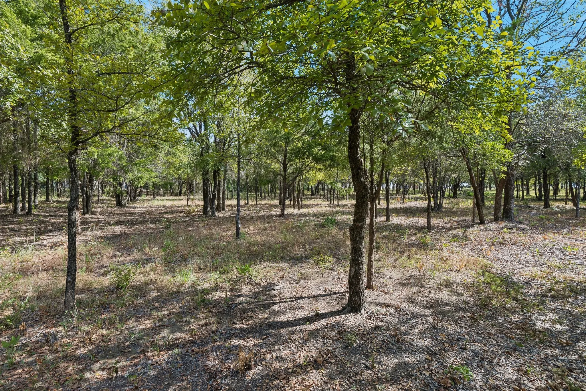 Unimproved Land For Sale in Tarrant County , 8949 Indian Knoll Trail, Keller, Texas 76248, 0, 0, Garage spaces, 0 Sqft, built in 0, mls#21392305, Real Estate Agent in Keller, Homes For Sale in Tarrant county, Homes For Sale in Keller, Realtor in Keller Texas, Real Estate Brokerage Independent Realty Texas, Luminita Cordes Realtor