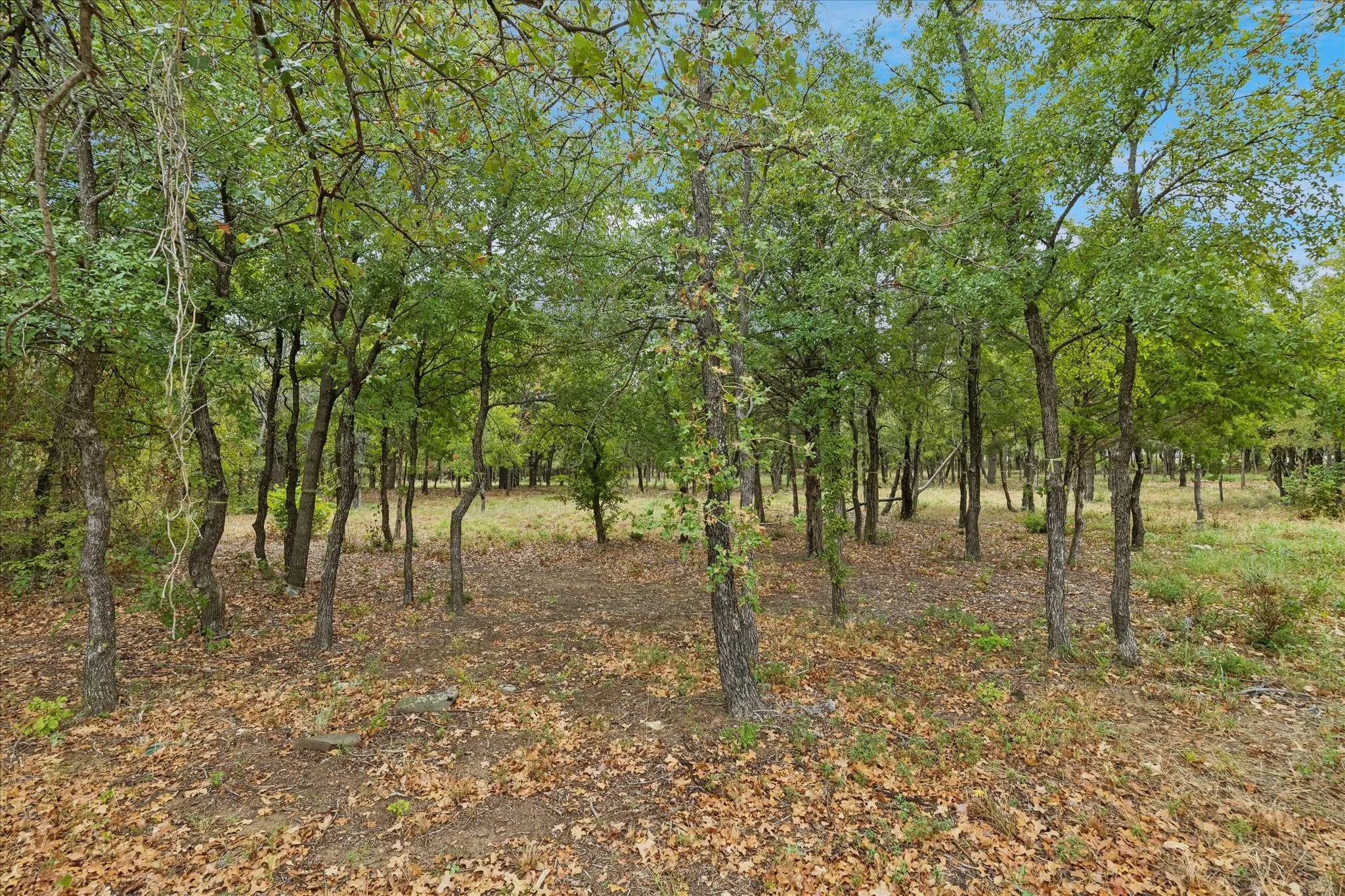 Unimproved Land For Sale in Tarrant County , 8949 Indian Knoll Trail, Keller, Texas 76248, 0, 0, Garage spaces, 0 Sqft, built in 0, mls#21392305, Real Estate Agent in Keller, Homes For Sale in Tarrant county, Homes For Sale in Keller, Realtor in Keller Texas, Real Estate Brokerage Independent Realty Texas, Luminita Cordes Realtor