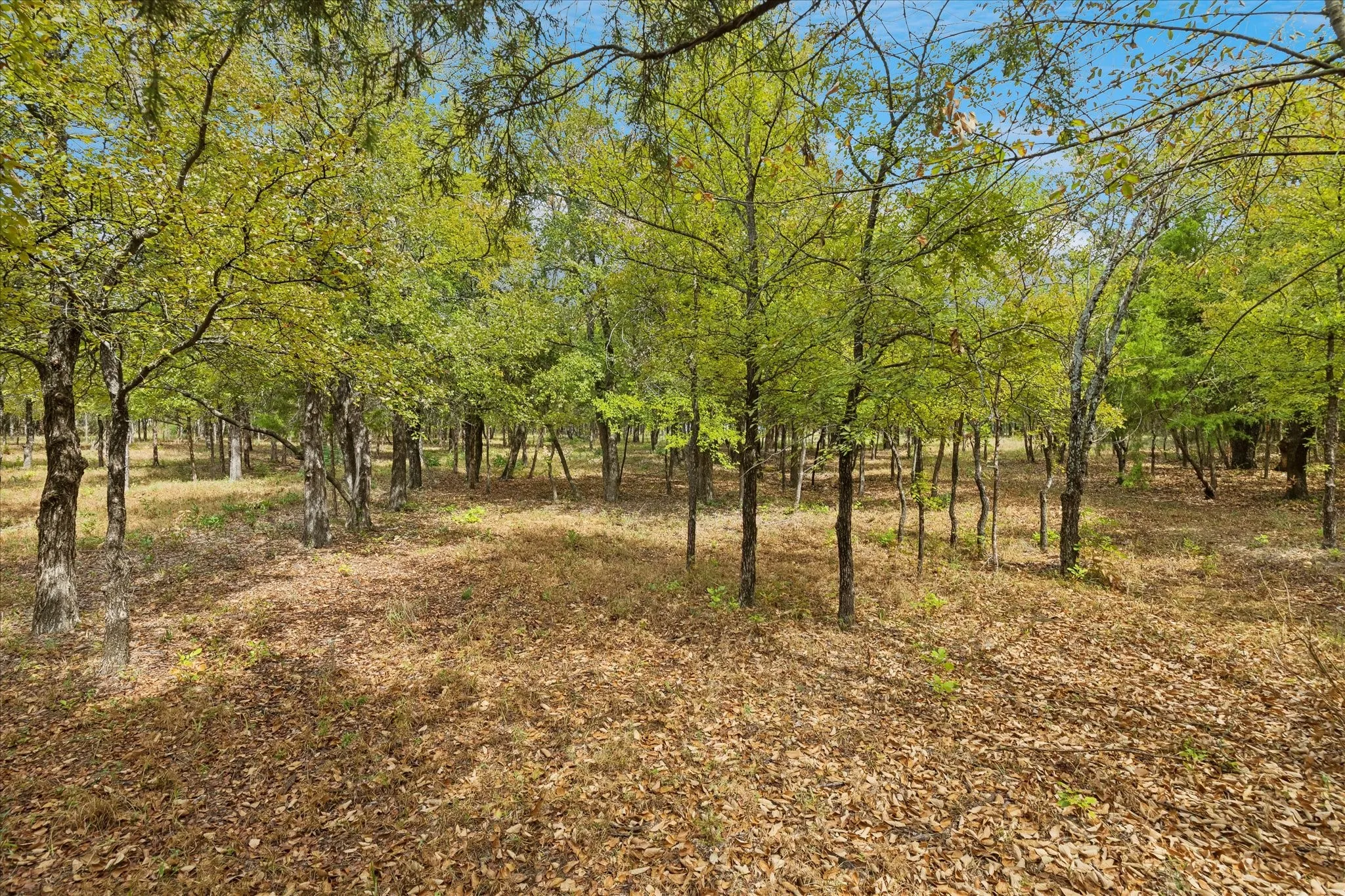 Unimproved Land For Sale in Tarrant County , 8949 Indian Knoll Trail, Keller, Texas 76248, 0, 0, Garage spaces, 0 Sqft, built in 0, mls#21392305, Real Estate Agent in Keller, Homes For Sale in Tarrant county, Homes For Sale in Keller, Realtor in Keller Texas, Real Estate Brokerage Independent Realty Texas, Luminita Cordes Realtor