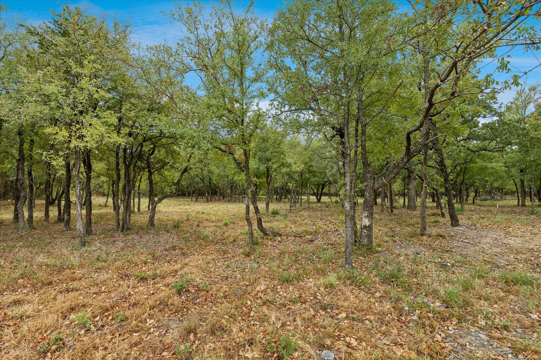 Unimproved Land For Sale in Tarrant County , 8949 Indian Knoll Trail, Keller, Texas 76248, 0, 0, Garage spaces, 0 Sqft, built in 0, mls#21392305, Real Estate Agent in Keller, Homes For Sale in Tarrant county, Homes For Sale in Keller, Realtor in Keller Texas, Real Estate Brokerage Independent Realty Texas, Luminita Cordes Realtor