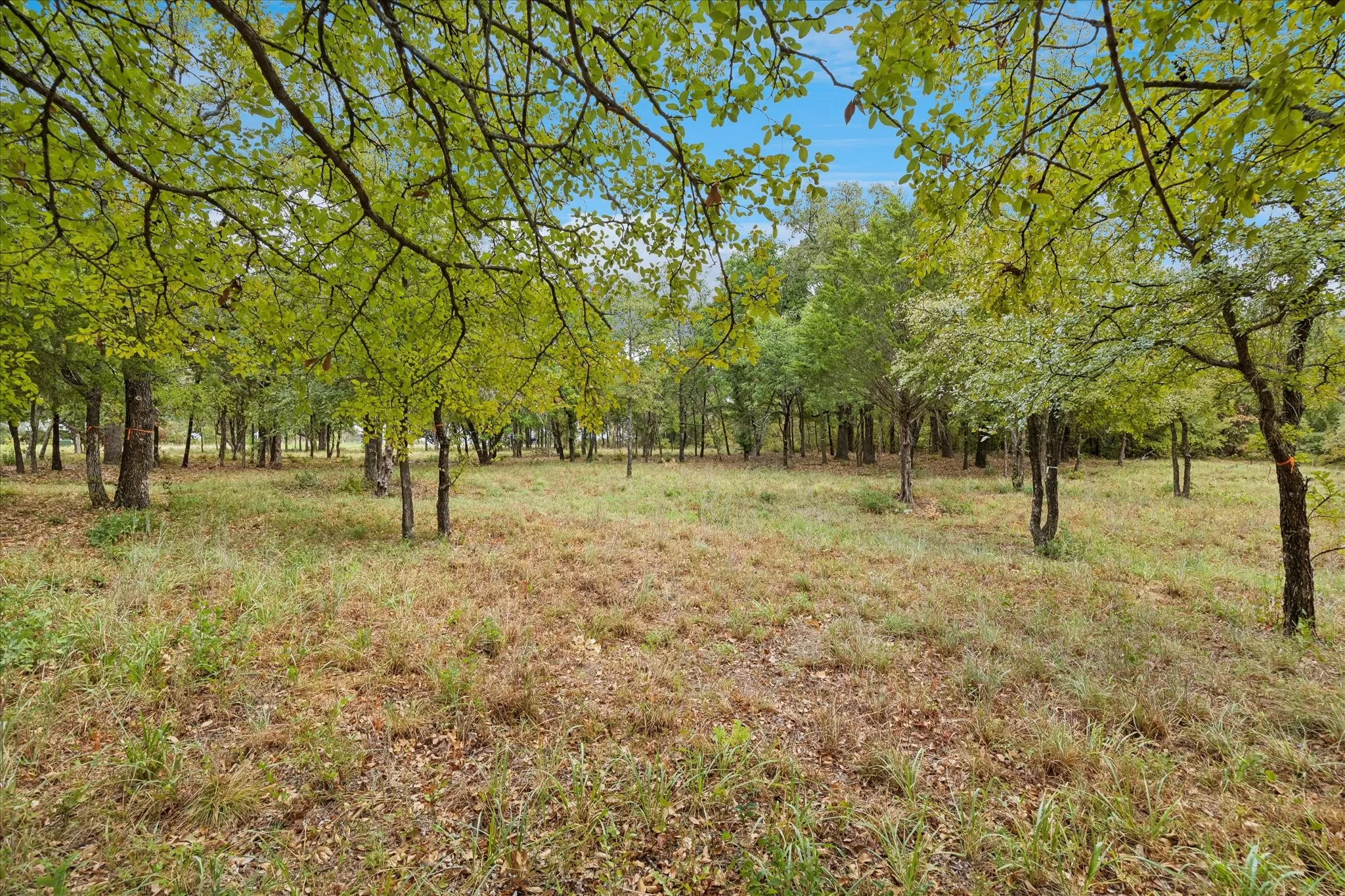 Unimproved Land For Sale in Tarrant County , 8949 Indian Knoll Trail, Keller, Texas 76248, 0, 0, Garage spaces, 0 Sqft, built in 0, mls#21392305, Real Estate Agent in Keller, Homes For Sale in Tarrant county, Homes For Sale in Keller, Realtor in Keller Texas, Real Estate Brokerage Independent Realty Texas, Luminita Cordes Realtor