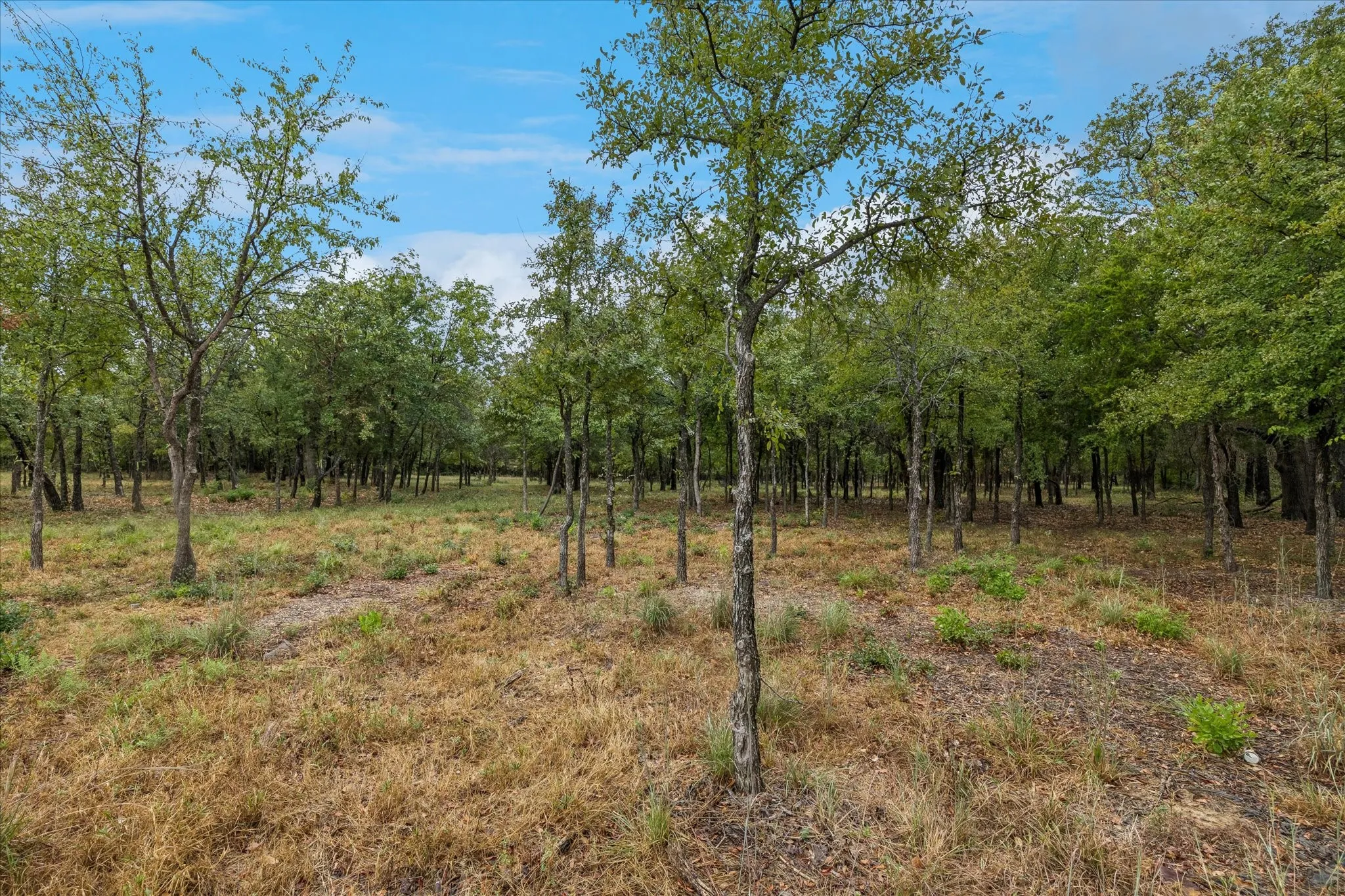 Unimproved Land For Sale in Tarrant County , 8965 Indian Knoll Trail, Keller, Texas 76248, 0, 0, Garage spaces, 0 Sqft, built in 0, mls#21392283, Real Estate Agent in Keller, Homes For Sale in Tarrant county, Homes For Sale in Keller, Realtor in Keller Texas, Real Estate Brokerage Independent Realty Texas, Luminita Cordes Realtor