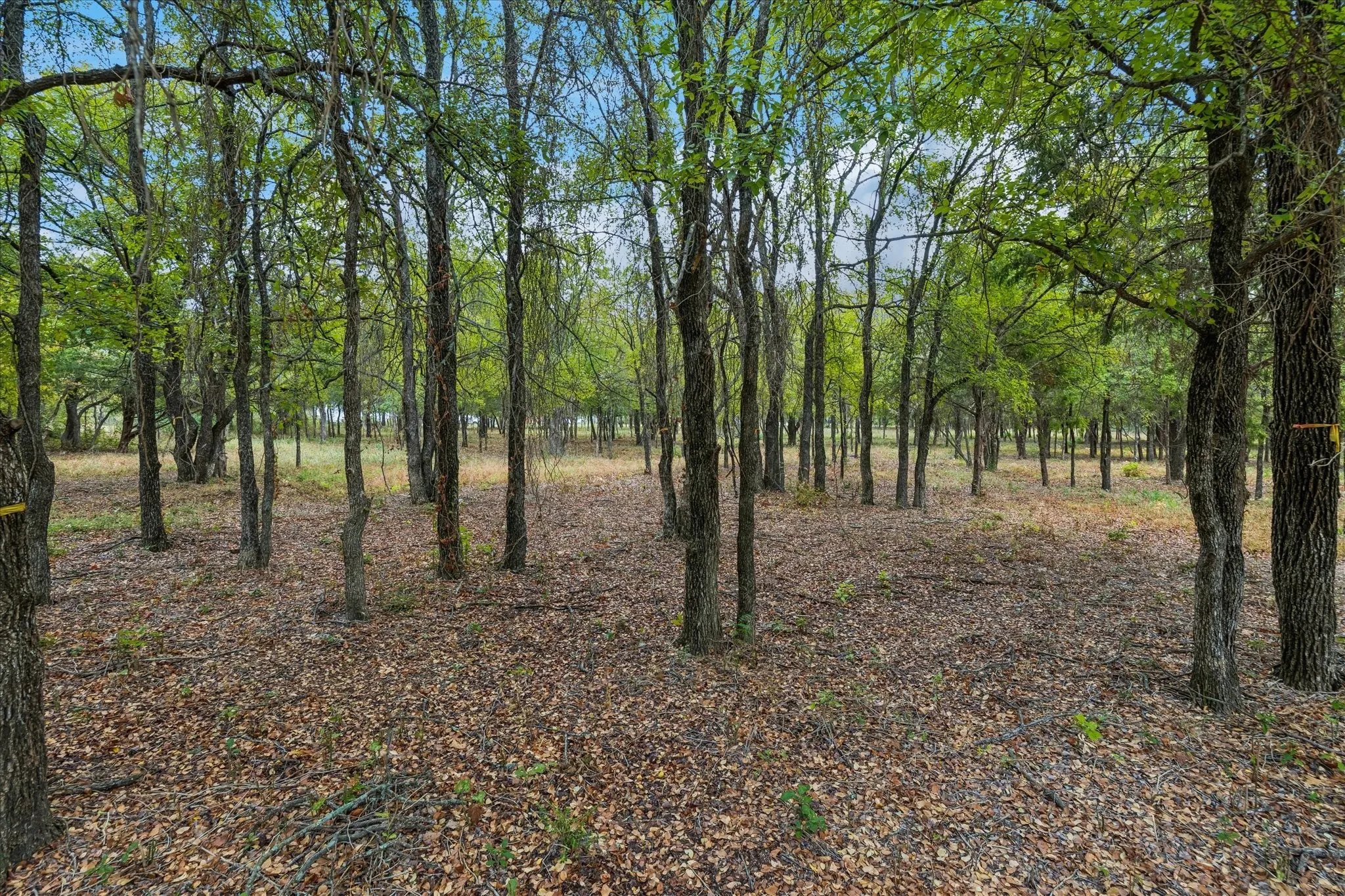 Unimproved Land For Sale in Tarrant County , 8965 Indian Knoll Trail, Keller, Texas 76248, 0, 0, Garage spaces, 0 Sqft, built in 0, mls#21392283, Real Estate Agent in Keller, Homes For Sale in Tarrant county, Homes For Sale in Keller, Realtor in Keller Texas, Real Estate Brokerage Independent Realty Texas, Luminita Cordes Realtor