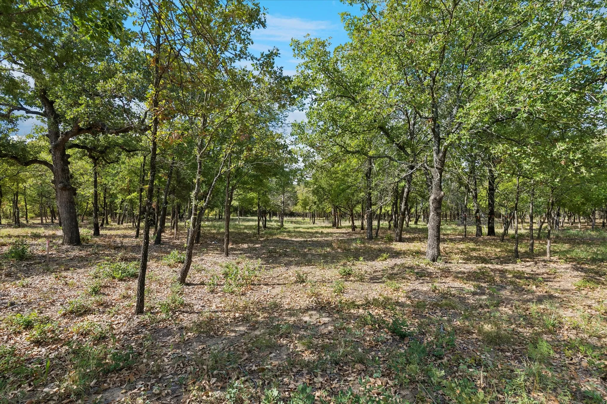Unimproved Land For Sale in Tarrant County , 8965 Indian Knoll Trail, Keller, Texas 76248, 0, 0, Garage spaces, 0 Sqft, built in 0, mls#21392283, Real Estate Agent in Keller, Homes For Sale in Tarrant county, Homes For Sale in Keller, Realtor in Keller Texas, Real Estate Brokerage Independent Realty Texas, Luminita Cordes Realtor