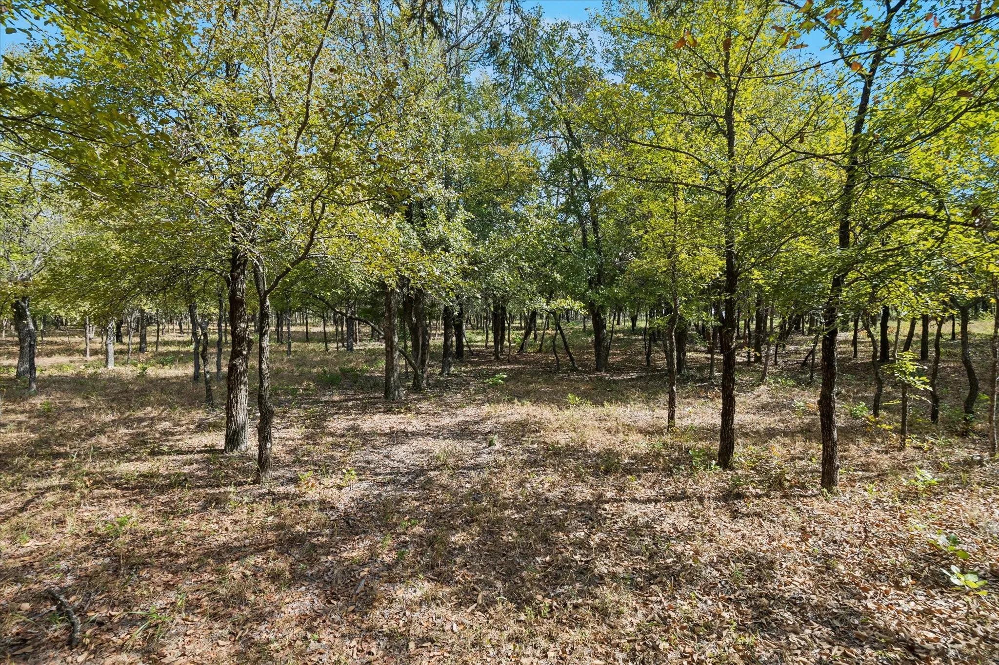 Unimproved Land For Sale in Tarrant County , 8965 Indian Knoll Trail, Keller, Texas 76248, 0, 0, Garage spaces, 0 Sqft, built in 0, mls#21392283, Real Estate Agent in Keller, Homes For Sale in Tarrant county, Homes For Sale in Keller, Realtor in Keller Texas, Real Estate Brokerage Independent Realty Texas, Luminita Cordes Realtor
