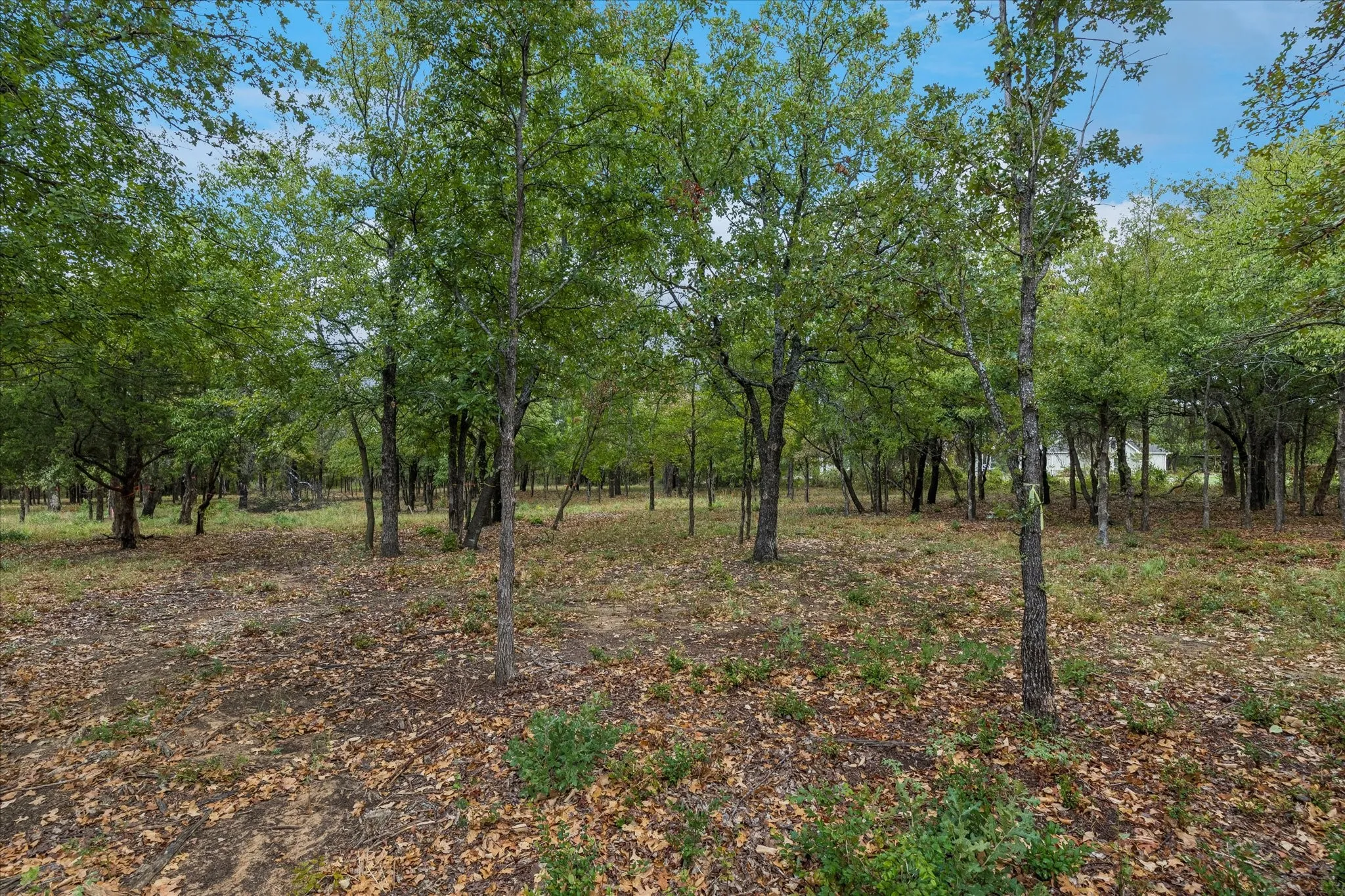 Unimproved Land For Sale in Tarrant County , 8965 Indian Knoll Trail, Keller, Texas 76248, 0, 0, Garage spaces, 0 Sqft, built in 0, mls#21392283, Real Estate Agent in Keller, Homes For Sale in Tarrant county, Homes For Sale in Keller, Realtor in Keller Texas, Real Estate Brokerage Independent Realty Texas, Luminita Cordes Realtor