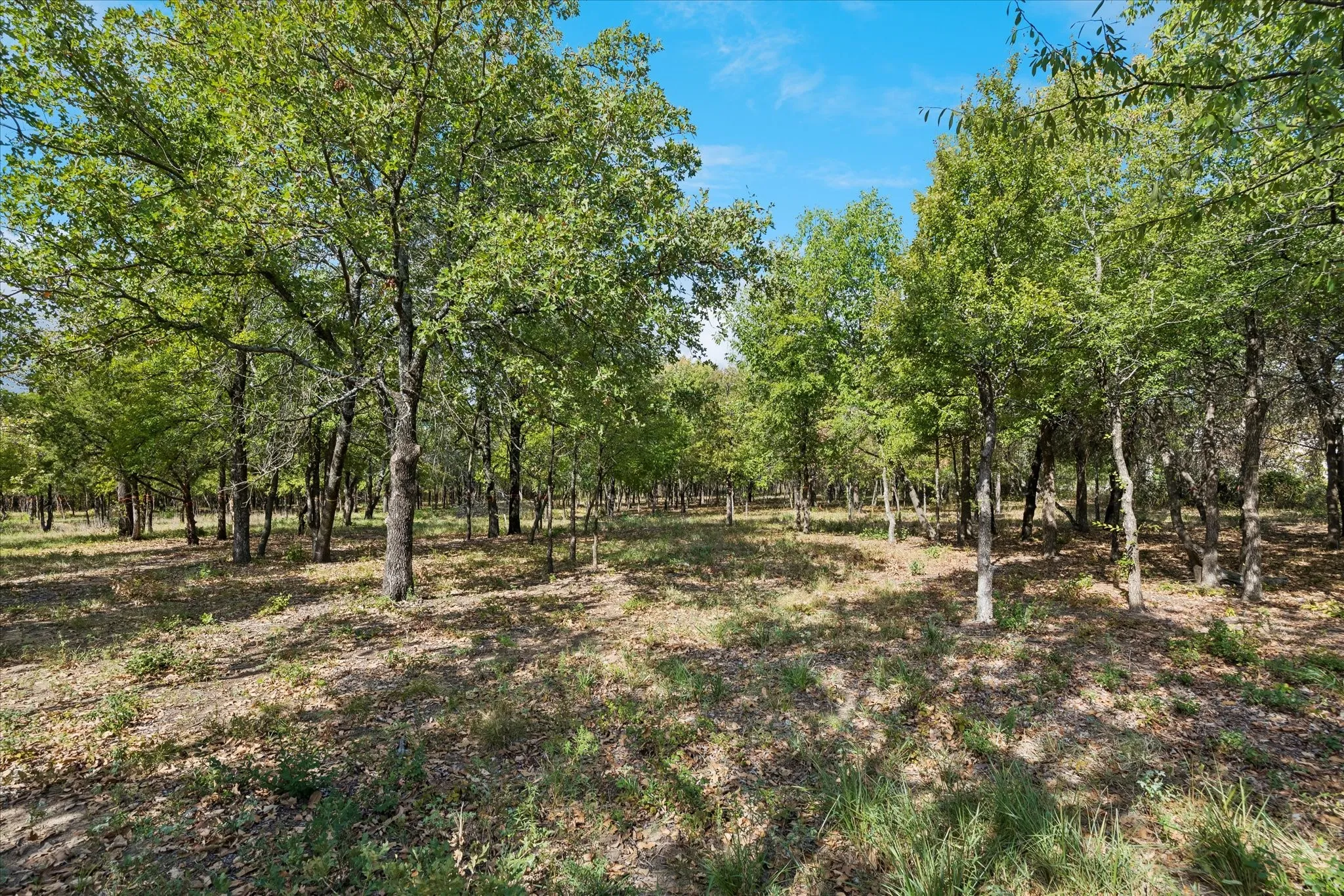 Unimproved Land For Sale in Tarrant County , 8965 Indian Knoll Trail, Keller, Texas 76248, 0, 0, Garage spaces, 0 Sqft, built in 0, mls#21392283, Real Estate Agent in Keller, Homes For Sale in Tarrant county, Homes For Sale in Keller, Realtor in Keller Texas, Real Estate Brokerage Independent Realty Texas, Luminita Cordes Realtor