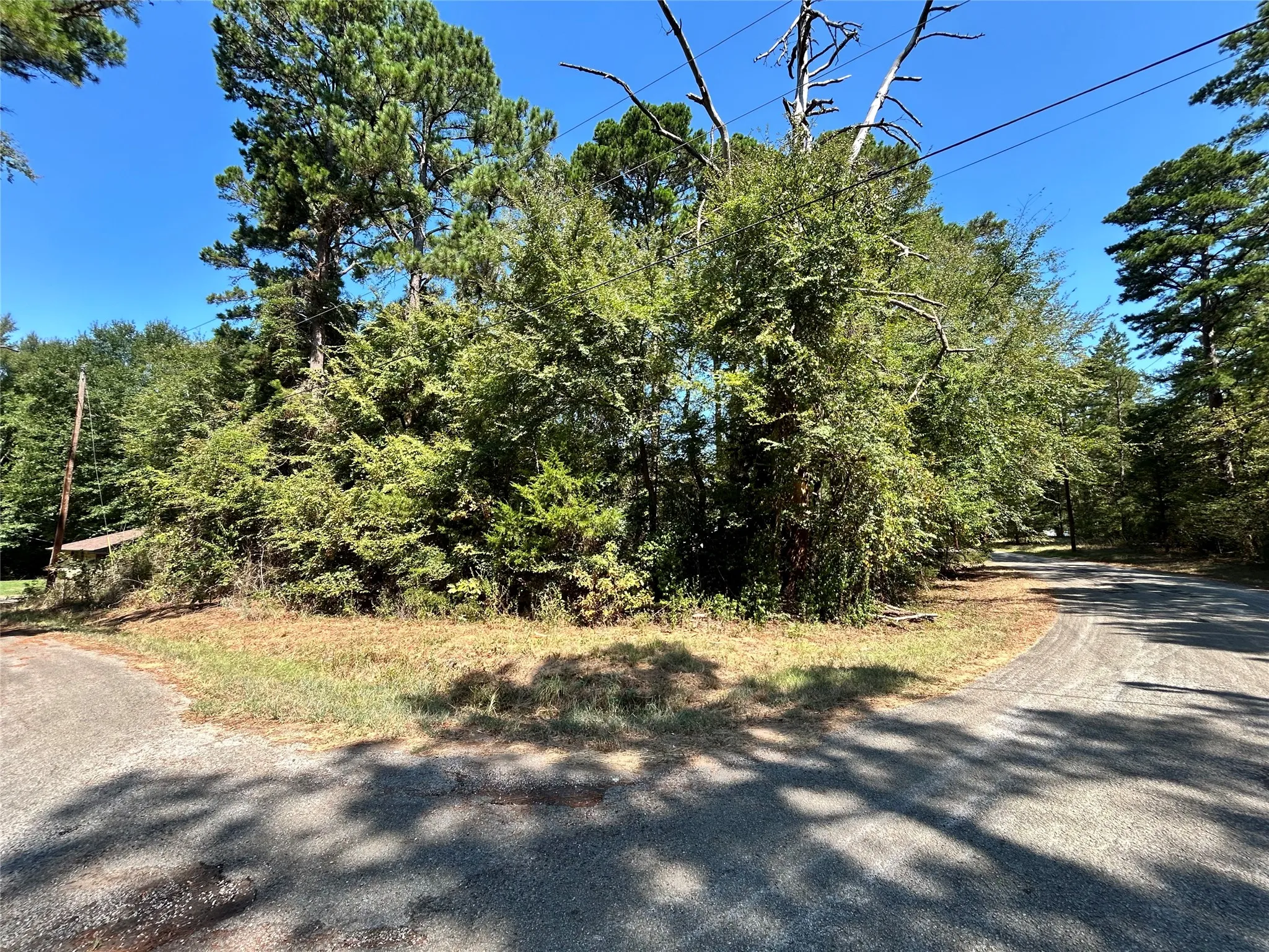 Unimproved Land For Sale in Henderson County , 11 Hillside Circle, Berryville, Texas 75763, 0, 0, Garage spaces, 0 Sqft, built in 0, mls#21396513, Real Estate Agent in Berryville, Homes For Sale in Henderson county, Homes For Sale in Berryville, Realtor in Berryville Texas, Real Estate Brokerage Independent Realty Texas, Luminita Cordes Realtor
