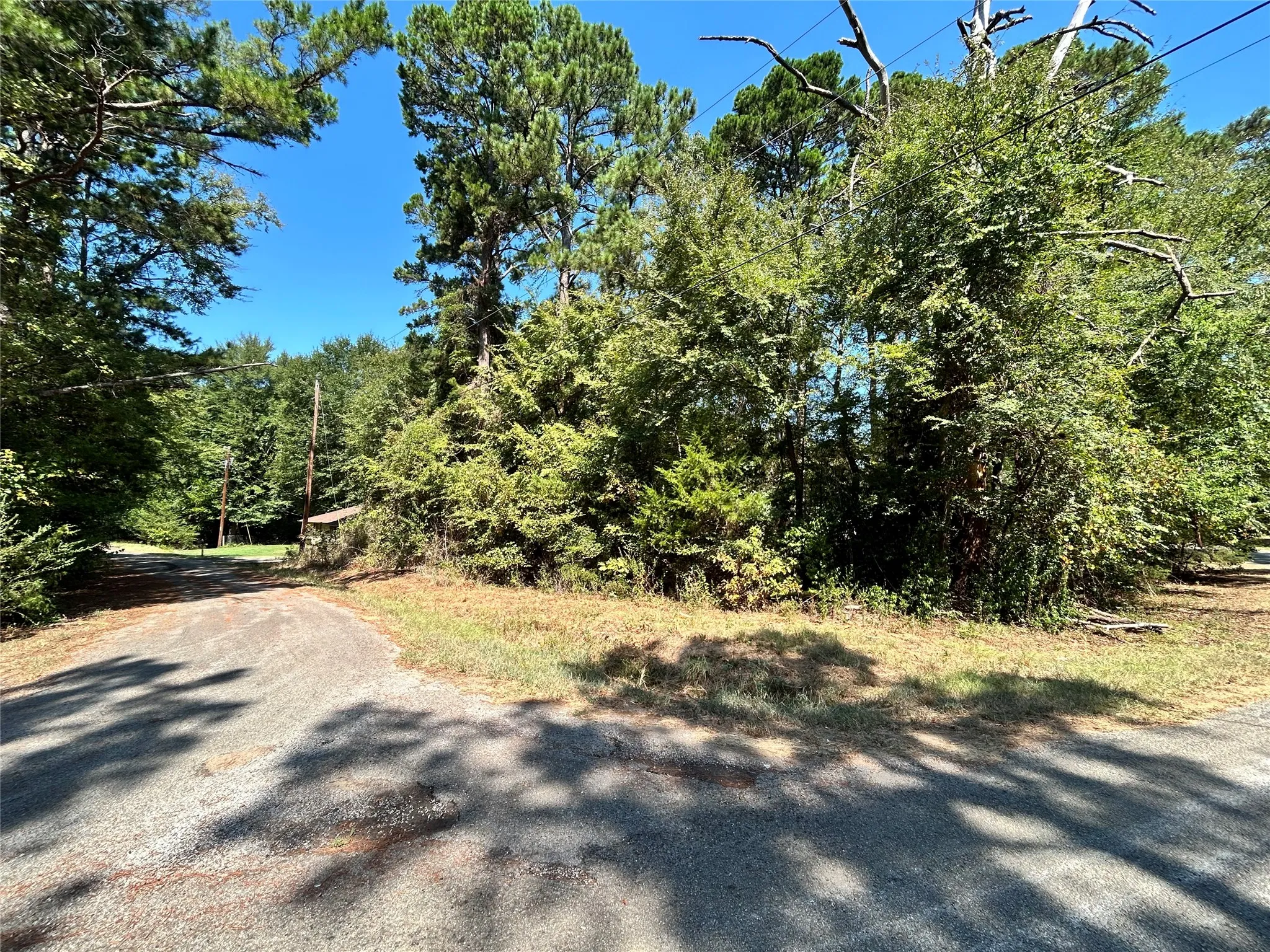 Unimproved Land For Sale in Henderson County , 11 Hillside Circle, Berryville, Texas 75763, 0, 0, Garage spaces, 0 Sqft, built in 0, mls#21396513, Real Estate Agent in Berryville, Homes For Sale in Henderson county, Homes For Sale in Berryville, Realtor in Berryville Texas, Real Estate Brokerage Independent Realty Texas, Luminita Cordes Realtor