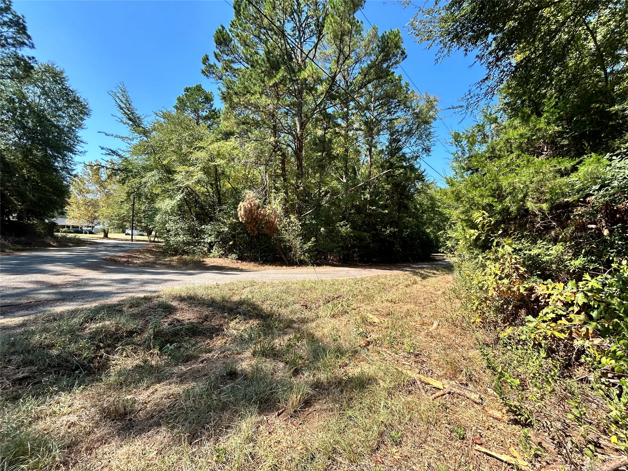 Unimproved Land For Sale in Henderson County , 11 Hillside Circle, Berryville, Texas 75763, 0, 0, Garage spaces, 0 Sqft, built in 0, mls#21396513, Real Estate Agent in Berryville, Homes For Sale in Henderson county, Homes For Sale in Berryville, Realtor in Berryville Texas, Real Estate Brokerage Independent Realty Texas, Luminita Cordes Realtor