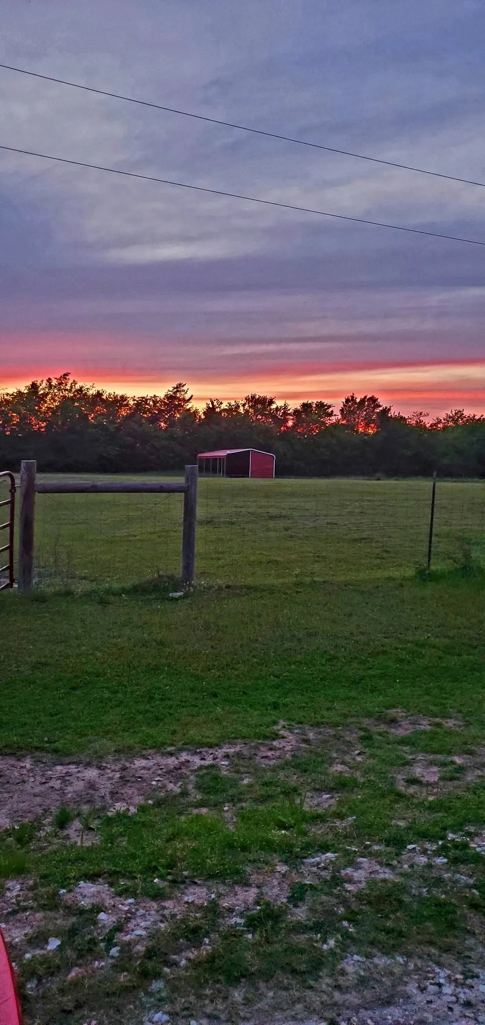 Photo of property in bloom