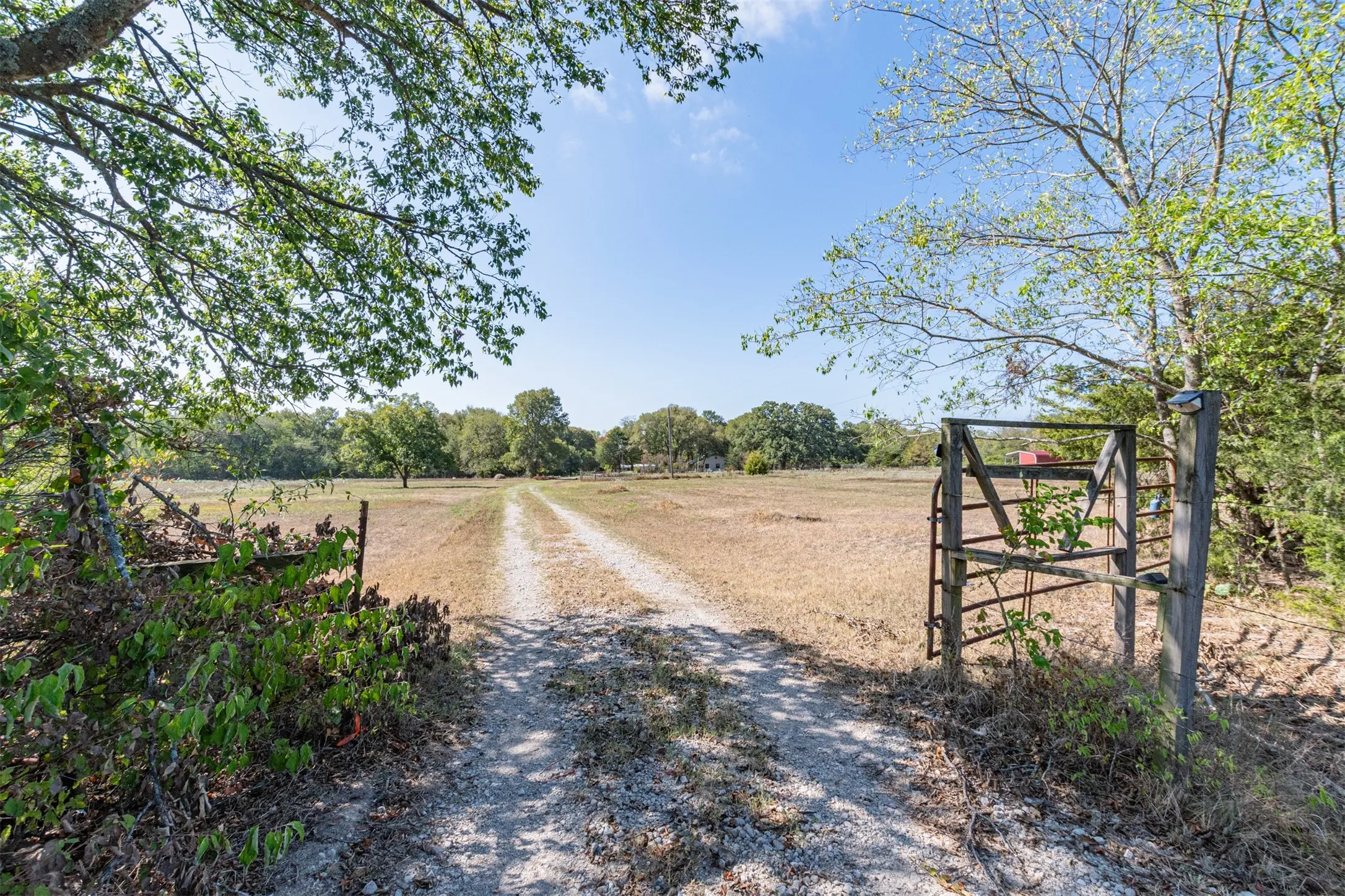 Unimproved Land For Sale in Rains County , 0000 Hwy 276, Point, Texas 75472, 0, 0, Garage spaces, 0 Sqft, built in 0, mls#21391583, Real Estate Agent in Point, Homes For Sale in Rains county, Homes For Sale in Point, Realtor in Point Texas, Real Estate Brokerage Independent Realty Texas, Luminita Cordes Realtor