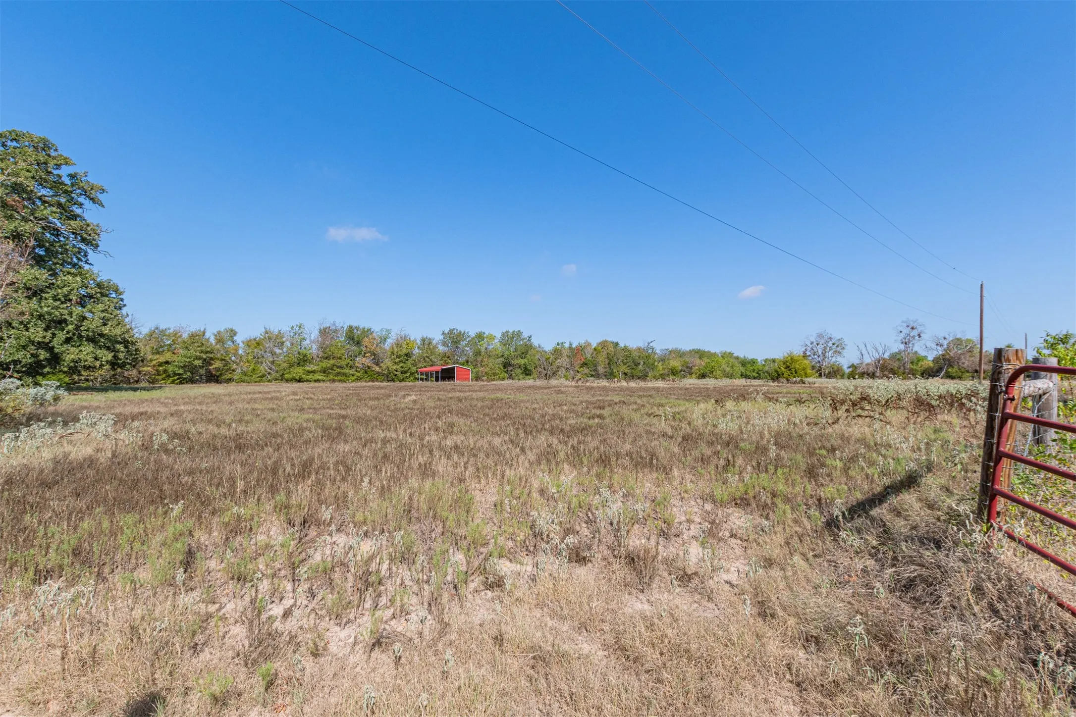 Unimproved Land For Sale in Rains County , 0000 Hwy 276, Point, Texas 75472, 0, 0, Garage spaces, 0 Sqft, built in 0, mls#21391583, Real Estate Agent in Point, Homes For Sale in Rains county, Homes For Sale in Point, Realtor in Point Texas, Real Estate Brokerage Independent Realty Texas, Luminita Cordes Realtor