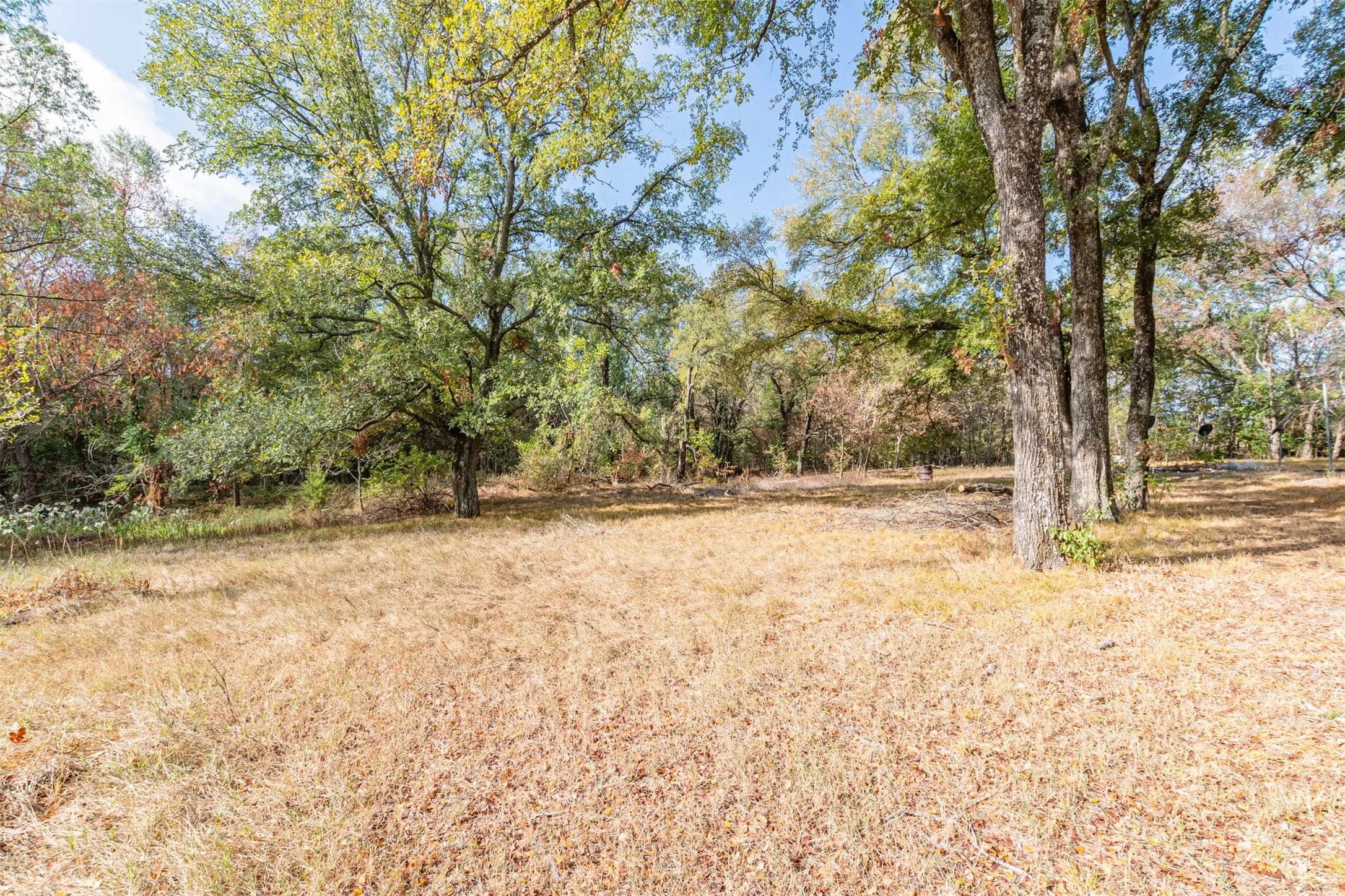 Unimproved Land For Sale in Rains County , 0000 Hwy 276, Point, Texas 75472, 0, 0, Garage spaces, 0 Sqft, built in 0, mls#21391583, Real Estate Agent in Point, Homes For Sale in Rains county, Homes For Sale in Point, Realtor in Point Texas, Real Estate Brokerage Independent Realty Texas, Luminita Cordes Realtor