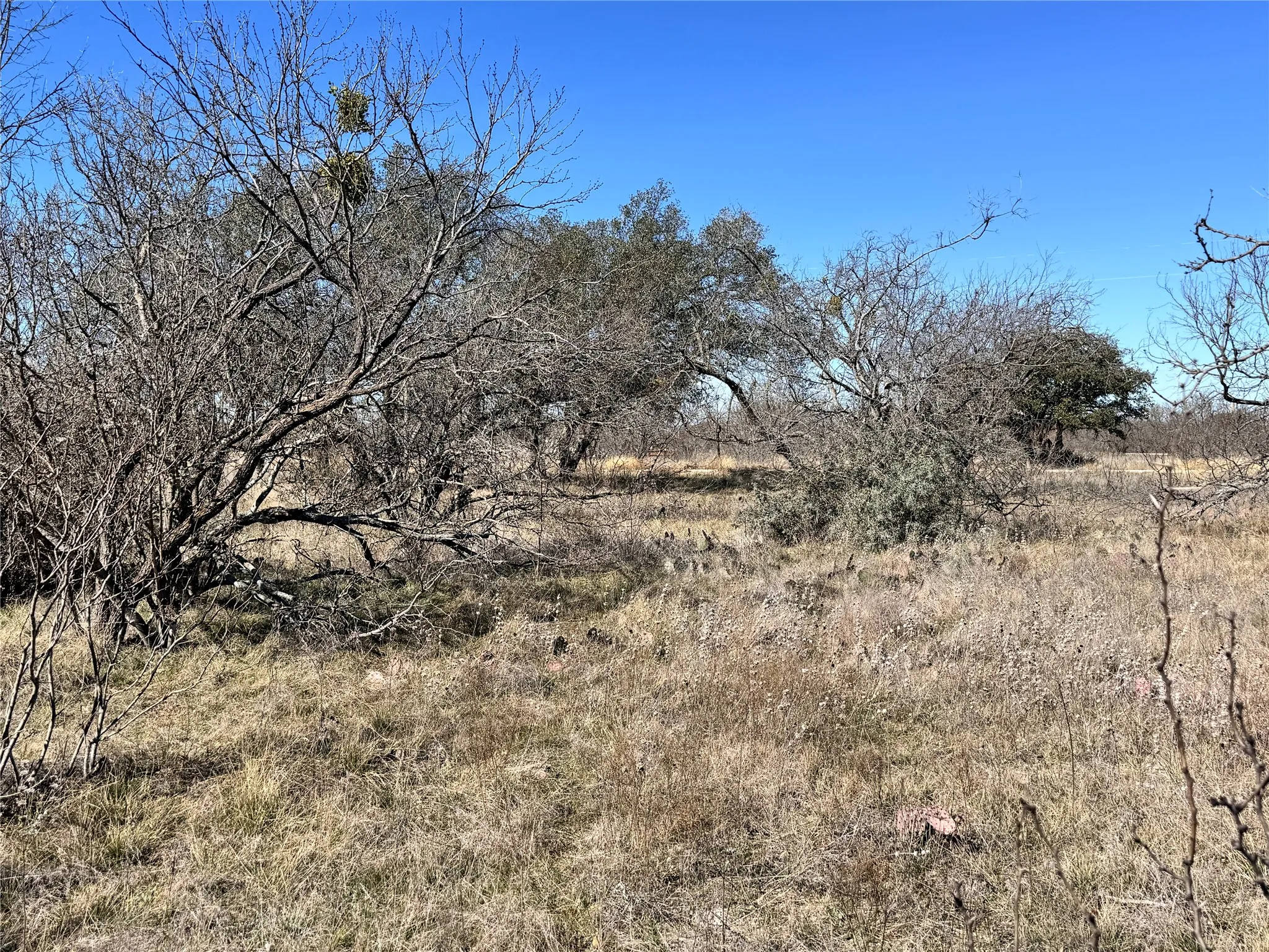 Unimproved Land For Sale in Brown County , TBD Lot 490 Sandcastle Drive, Brownwood, Texas 76801, 0, 0, Garage spaces, 0 Sqft, built in 0, mls#21396691, Real Estate Agent in Brownwood, Homes For Sale in Brown county, Homes For Sale in Brownwood, Realtor in Brownwood Texas, Real Estate Brokerage Independent Realty Texas, Luminita Cordes Realtor
